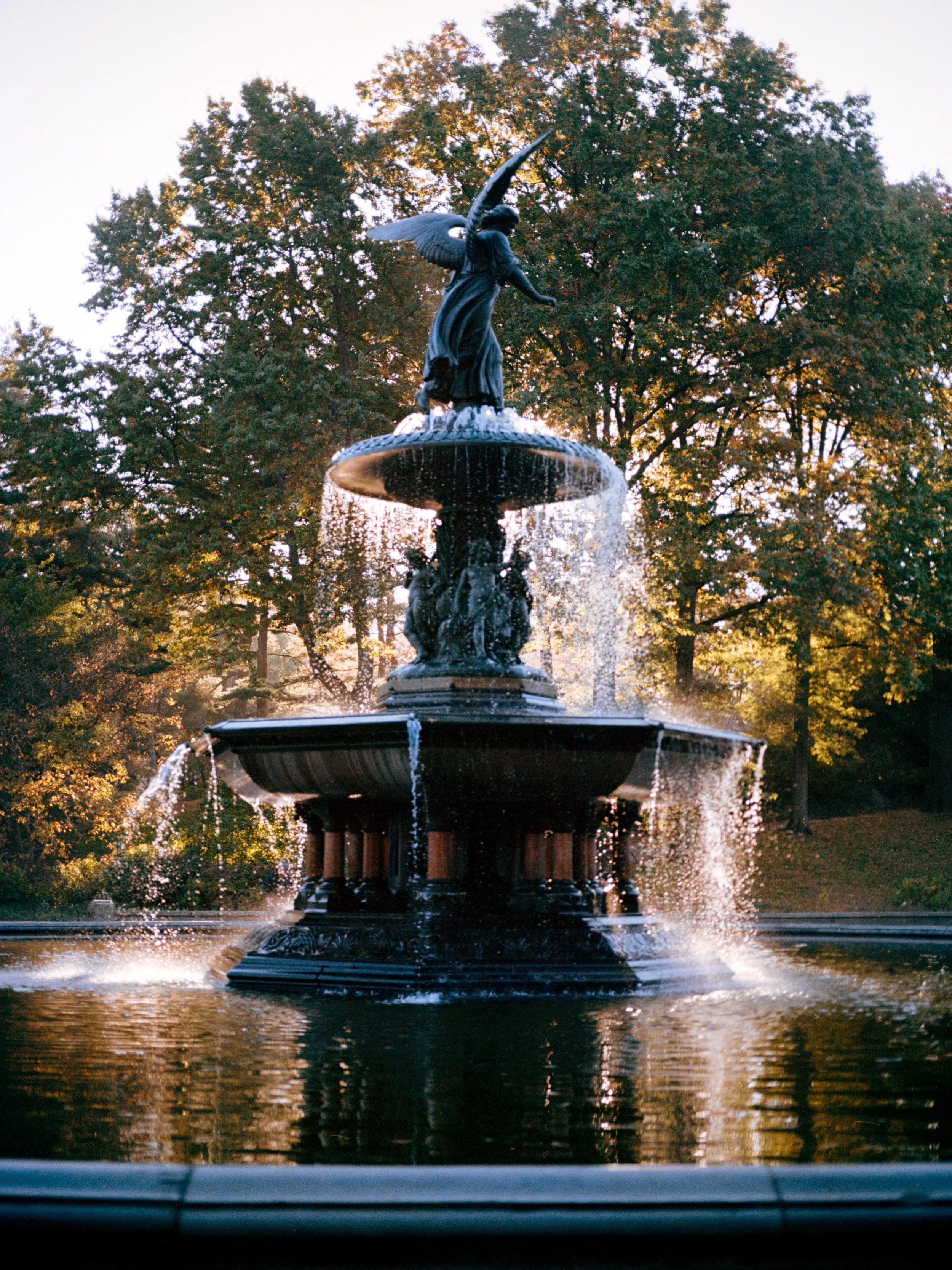 Portra 400 - Central Park Fall-5.jpg