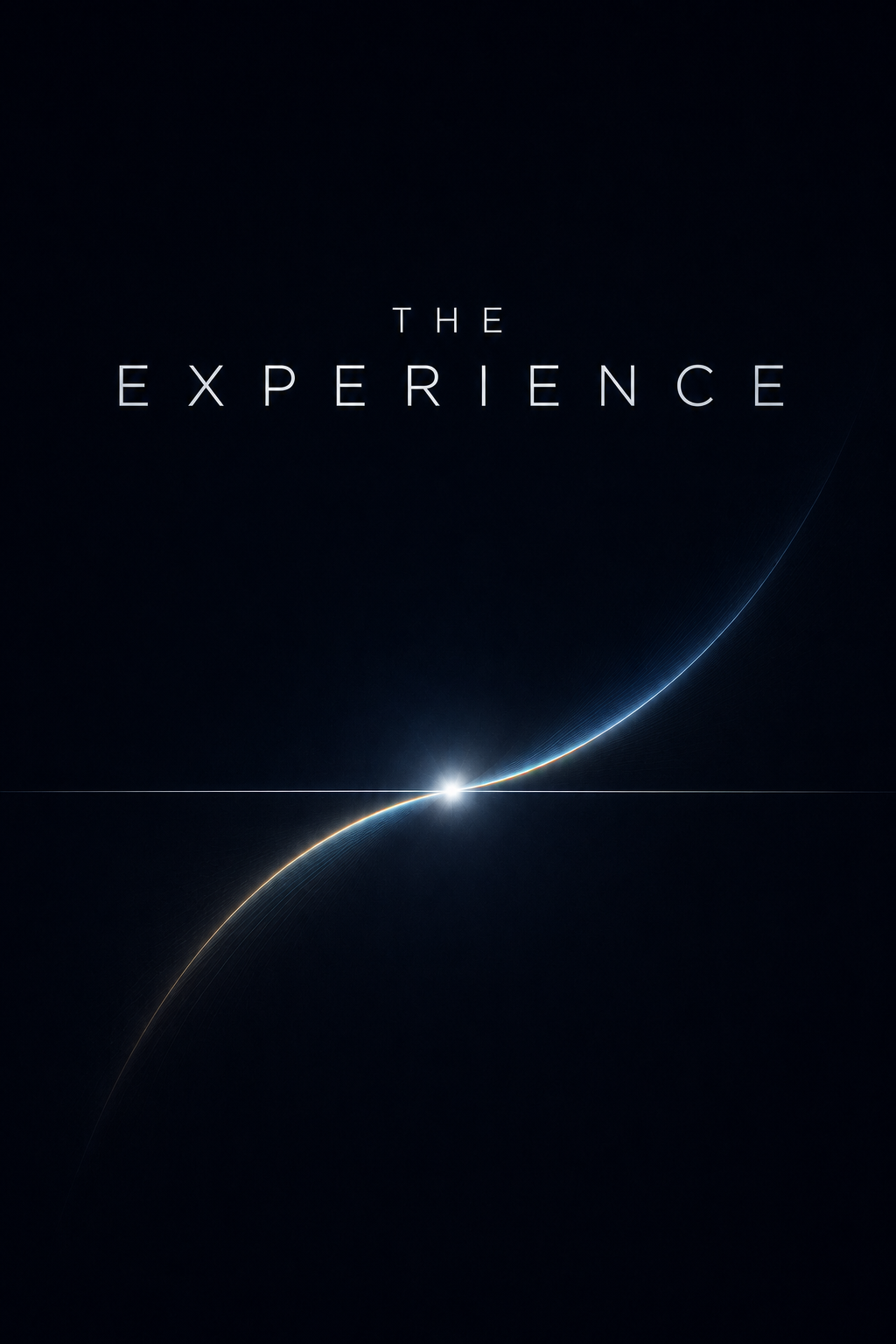 THE EXPERIENCE