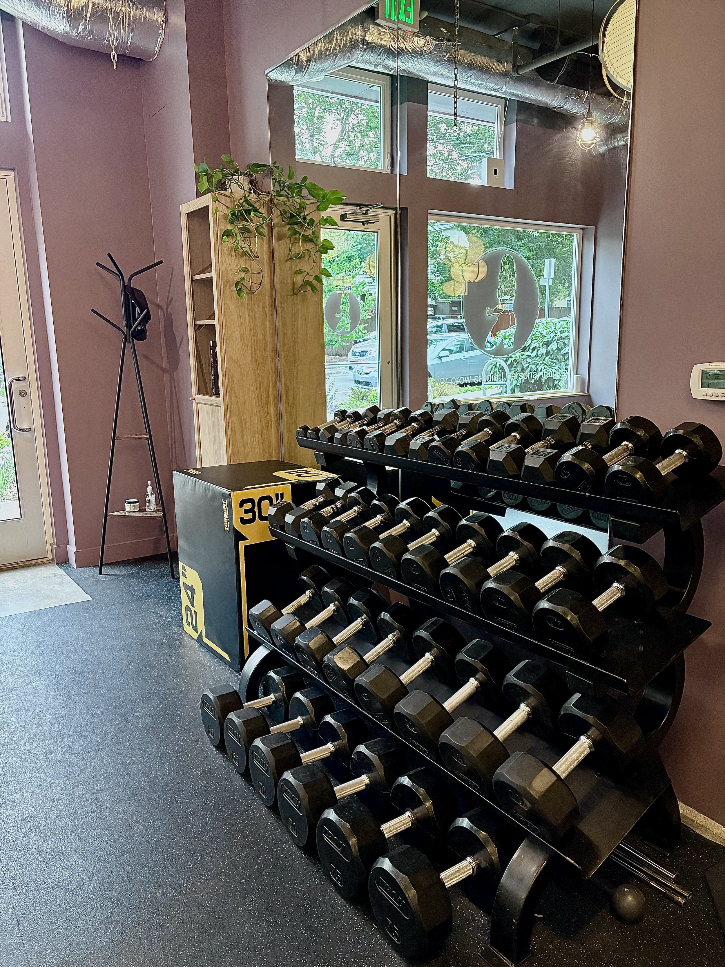seattle personal trainer; women's personal training studio; women's strength training; training for menopause; women's menopause coach
