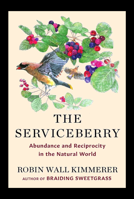 The cover of The Serviceberry by Robin Wall Kimmerer