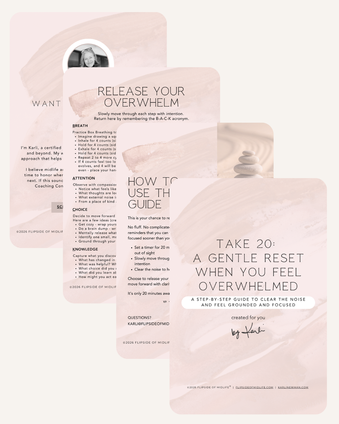 Take 20 Overwhelm PDF Product Image.png