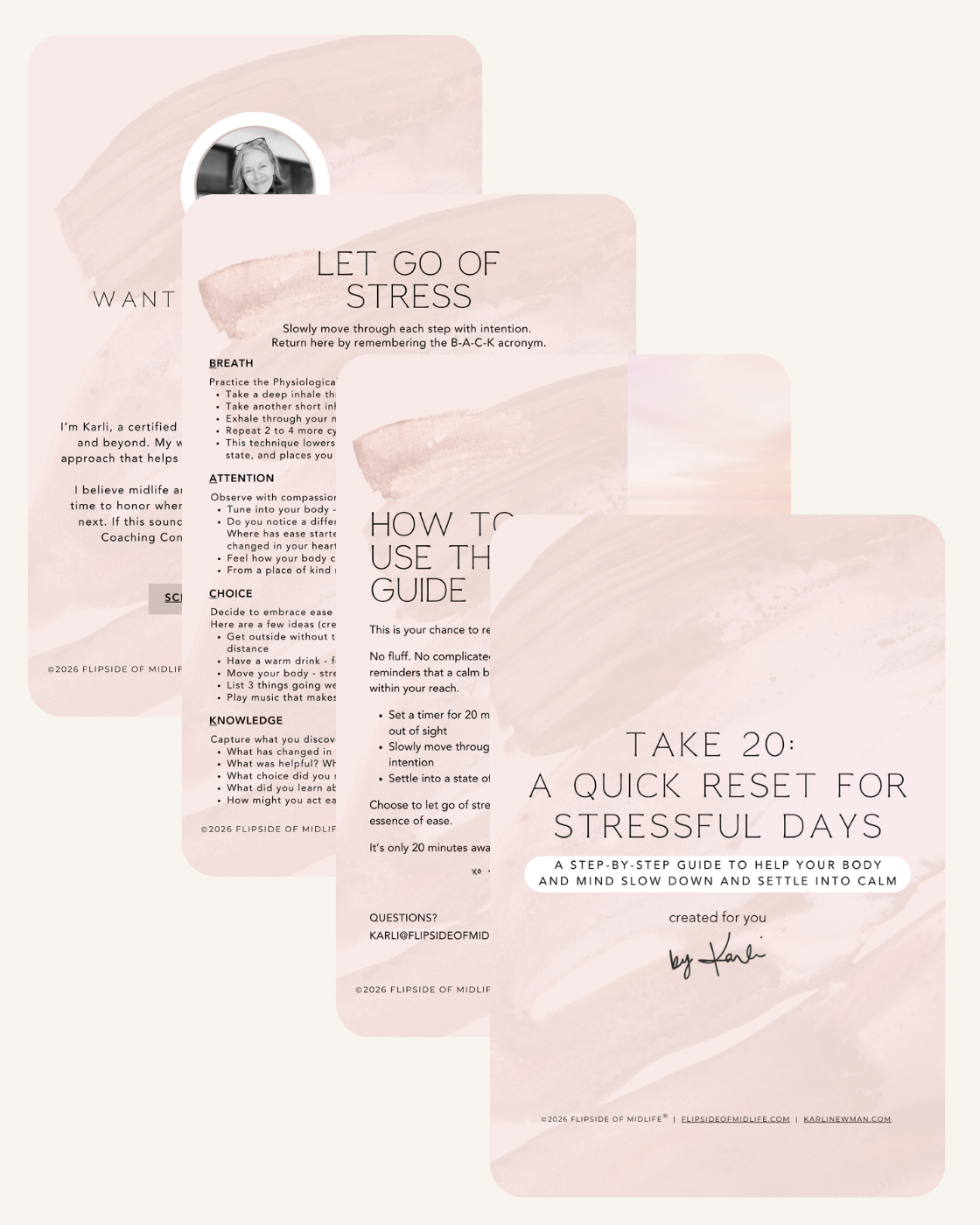 Take 20 Stress PDF Product Image.png