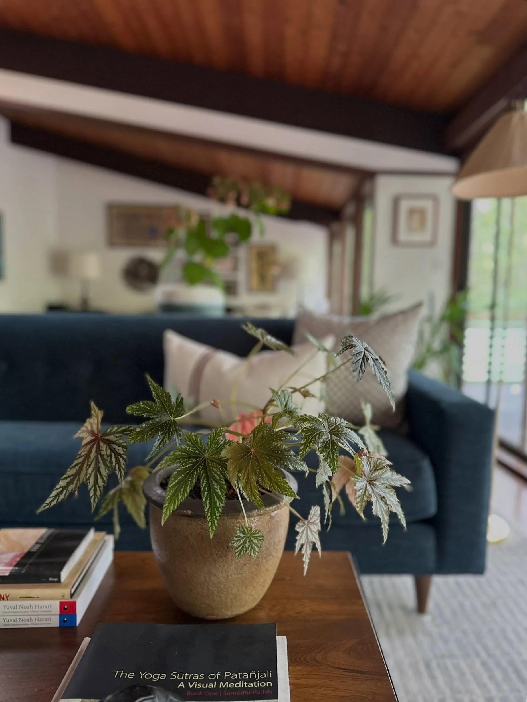 Styling day is where the vision truly comes to life ✨

It&rsquo;s those final touches of live greenery, handmade ceramics, thoughtfully curated books, and soft throw pillows that make all the difference. During our styling sessions, we create cohesio