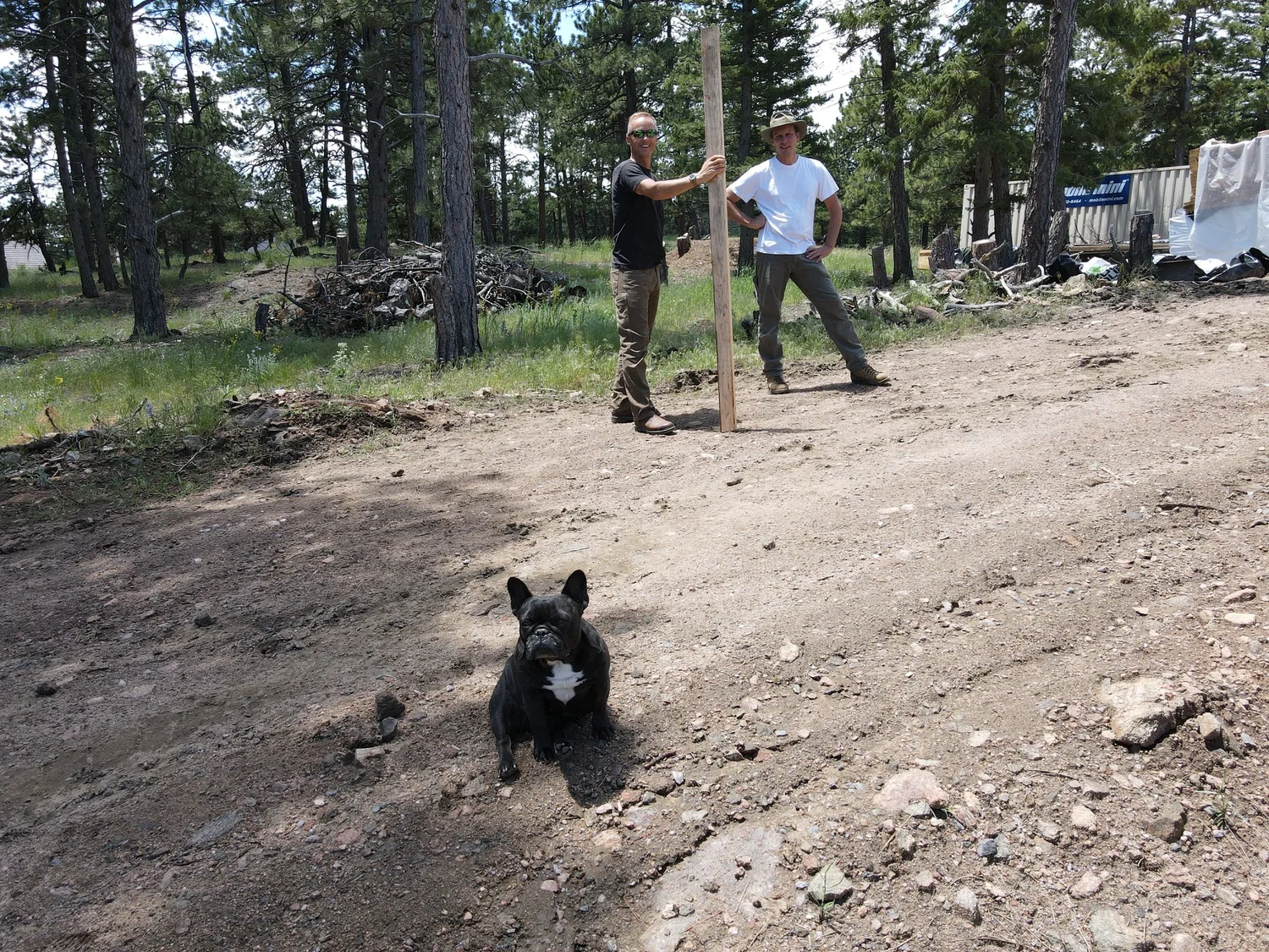 Crew and a dog on a cleared mountain jobsite