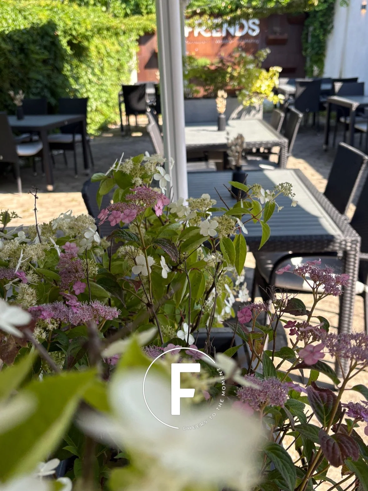 🤫 Wusstet ihr schon, dass sich hinter dem Friends in Dortmund ein echter Geheimtipp versteckt? 🍷🌿
Nicht direkt an der Stra&szlig;e, sondern hinten im Innenhof erwartet euch ein wundersch&ouml;ner Weingarten &ndash; ruhig, gem&uuml;tlich und perfek