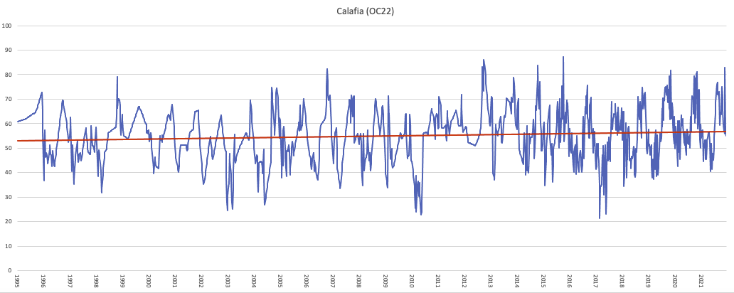 Calafia