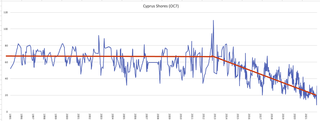 Cyprus Shores