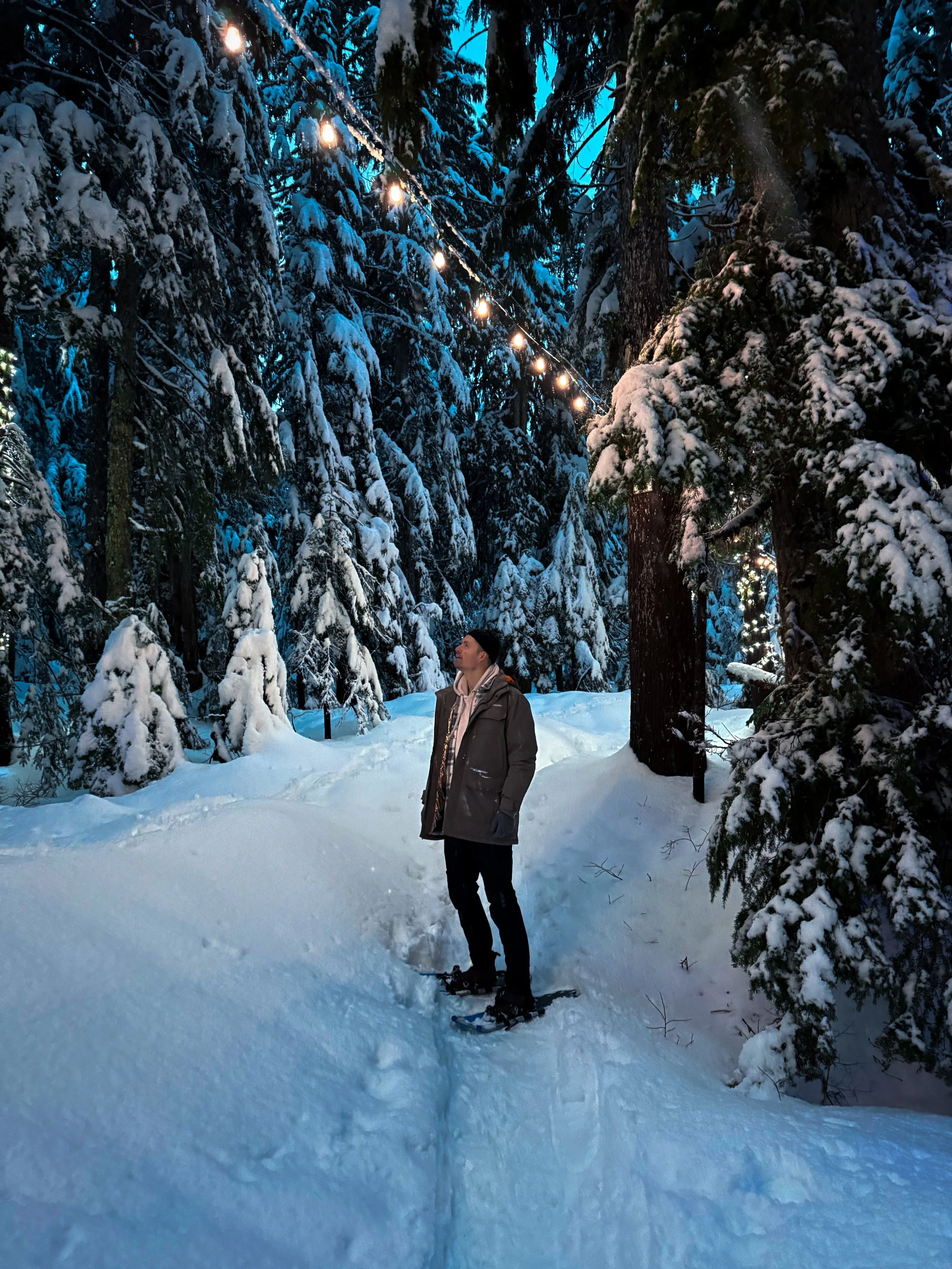 Lights to the Lodge Snowshoe