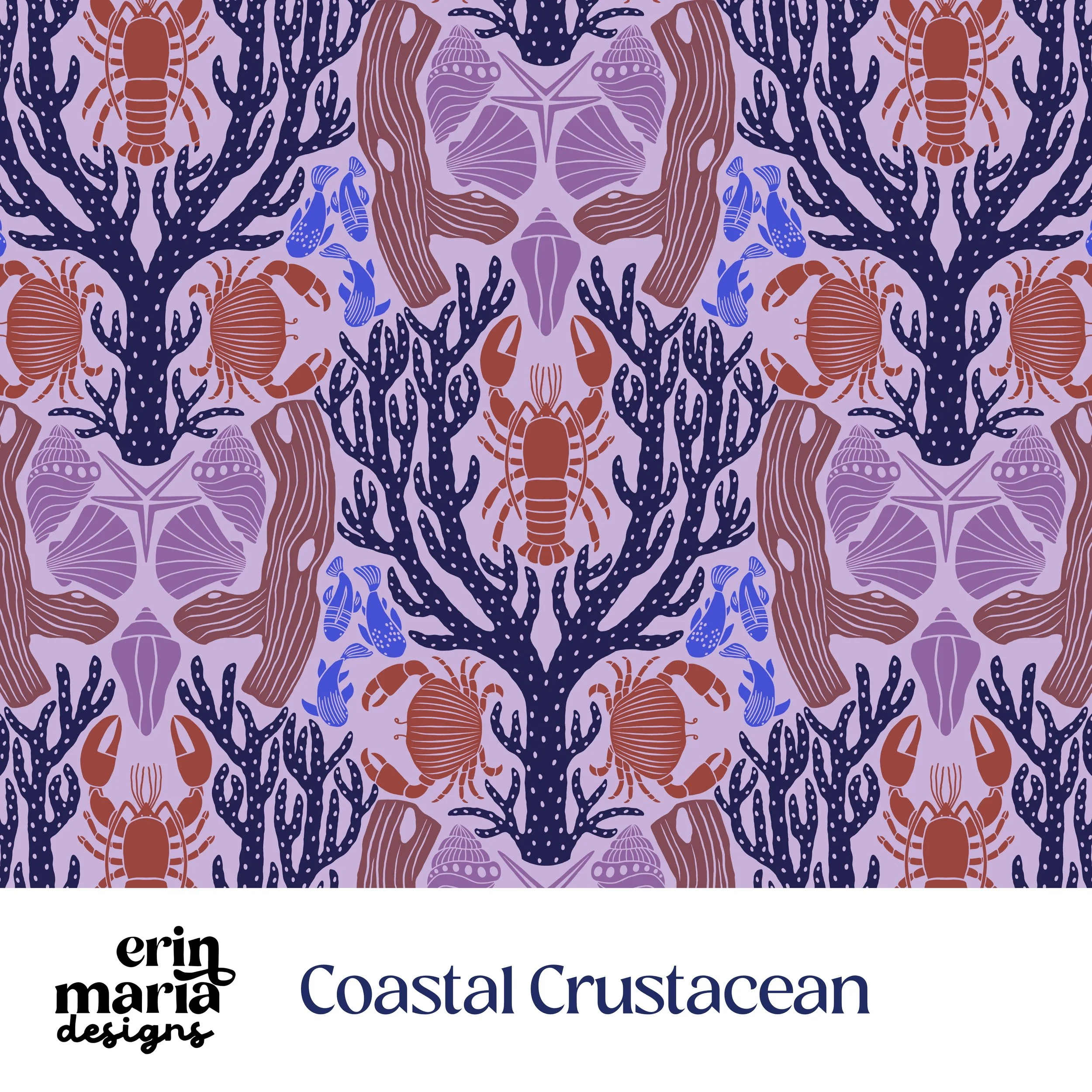 Website Portfolio Cover -CC.jpg