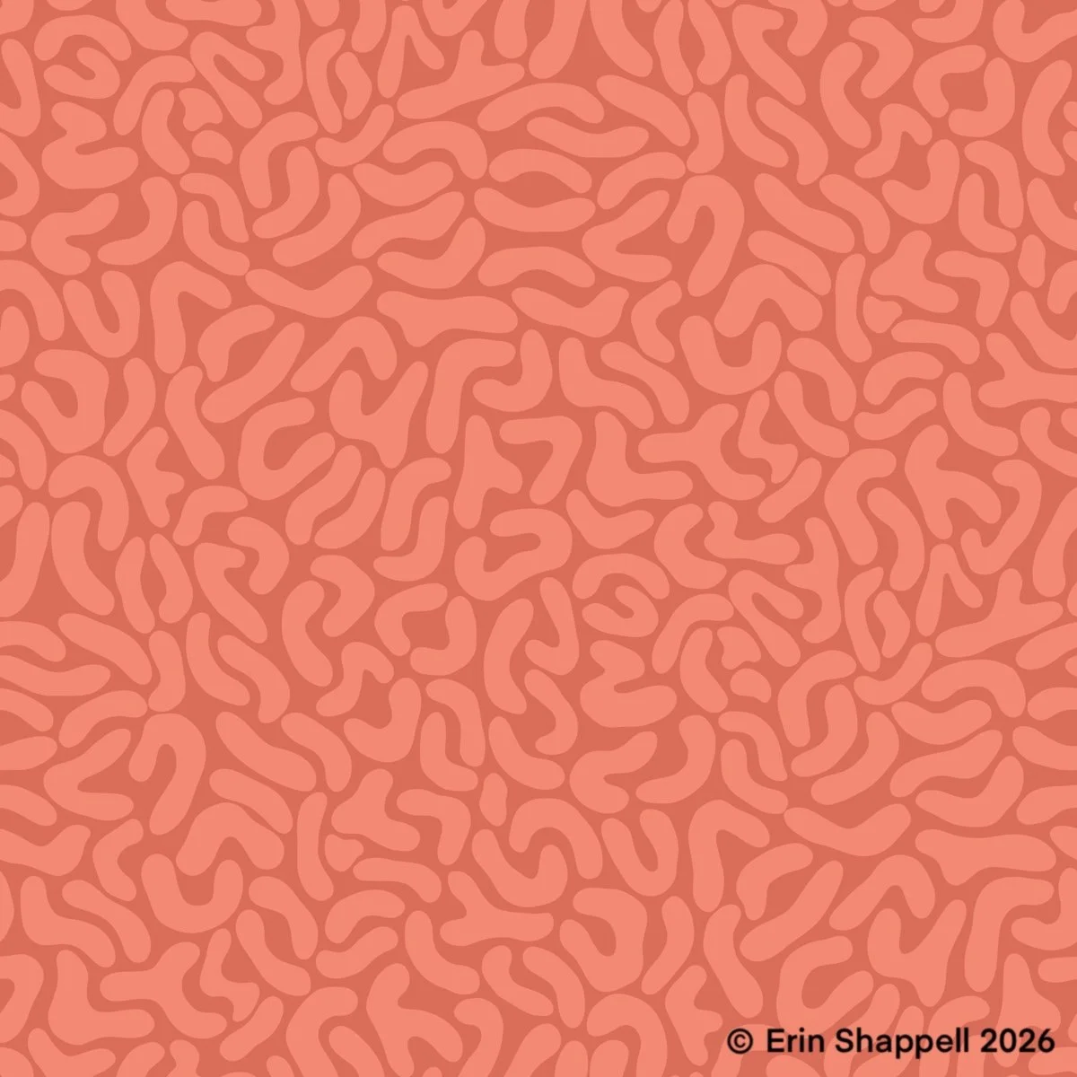 Cheetah Print.jpg