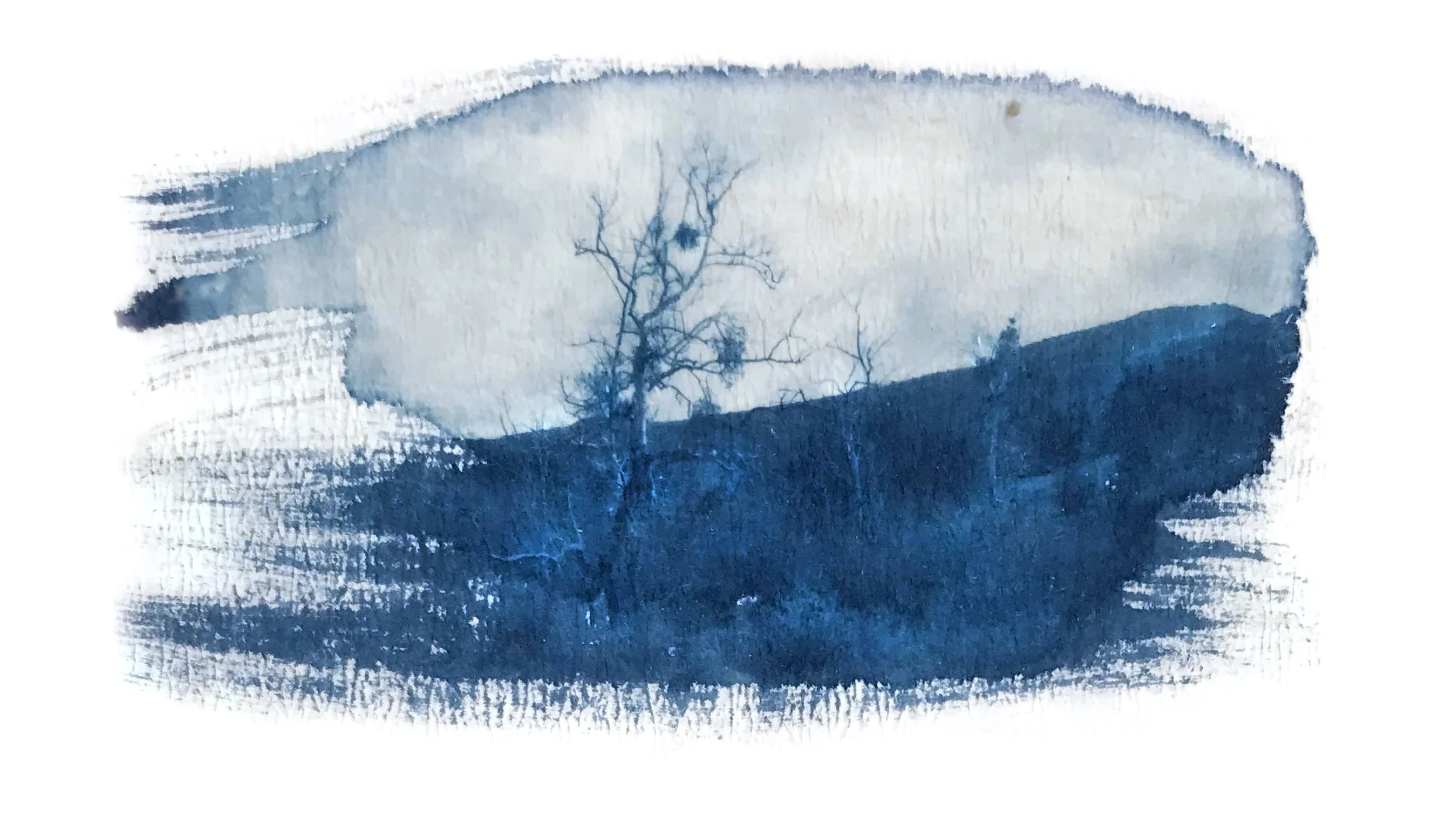 Intro to Cyanotype Printing Workshop with Brenna Hansen at the EBPCO Community Darkroom