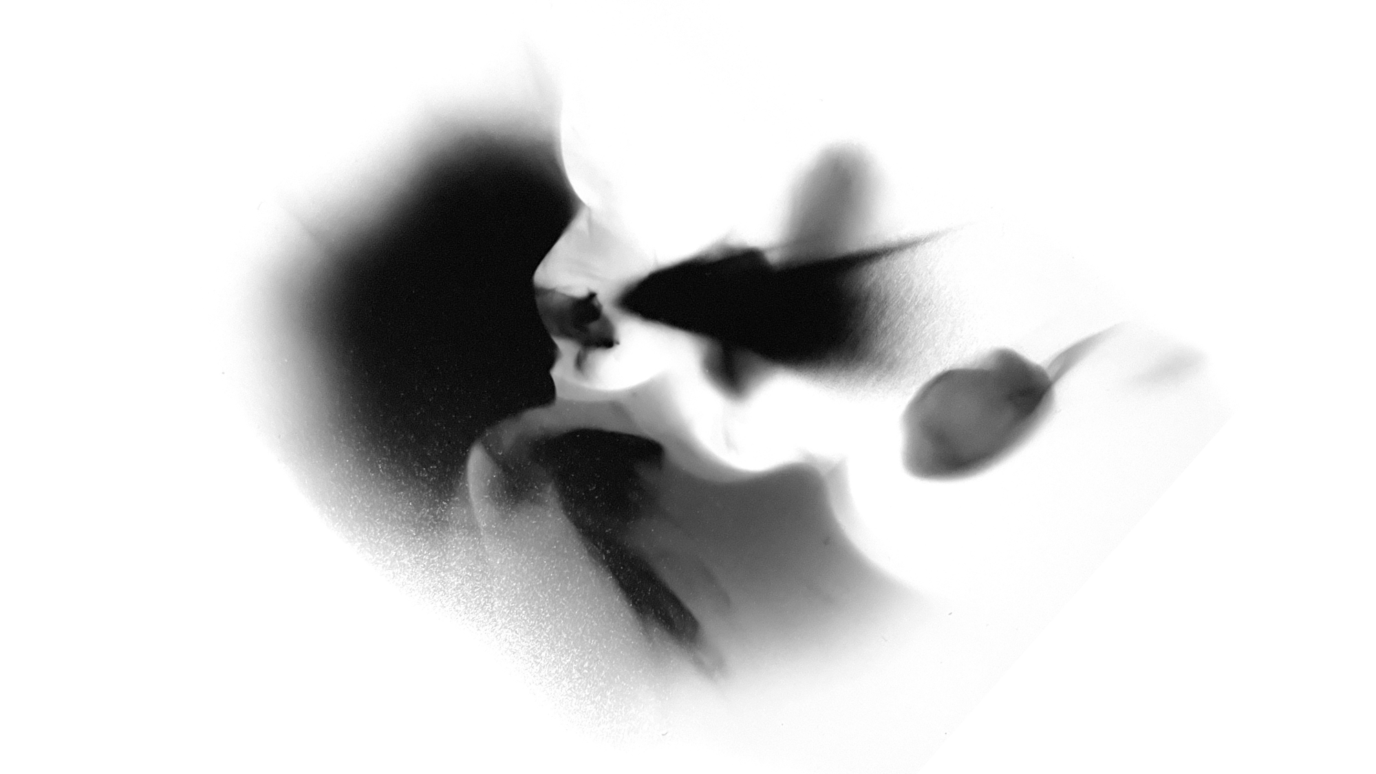 Luminogram Printing Workshop with Brenna Hansen at the EBPCO Community Darkroom