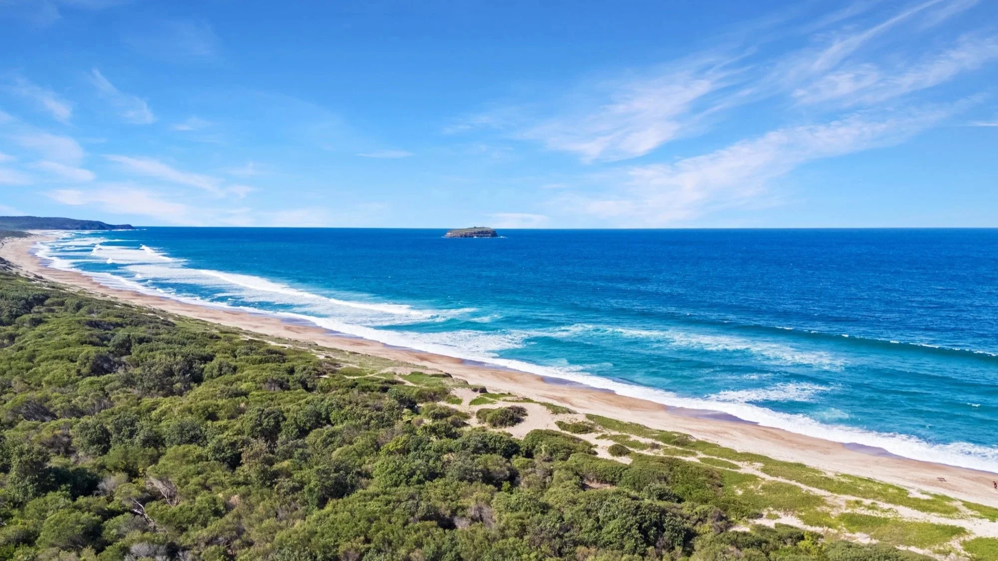 A scenic view of a sandy beach with ocean waves, lush green vegetation in the foreground, and a blue sky with scattered clouds.