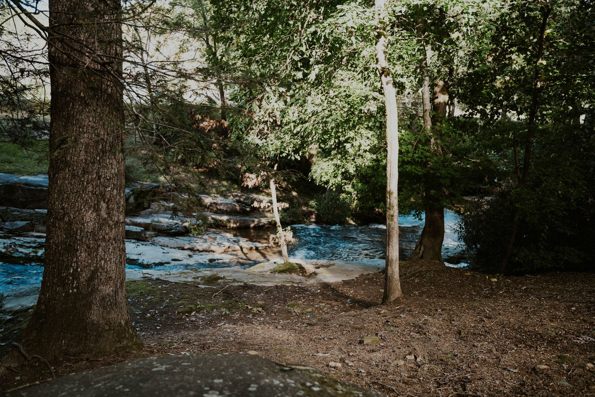 DSC_2090.jpg