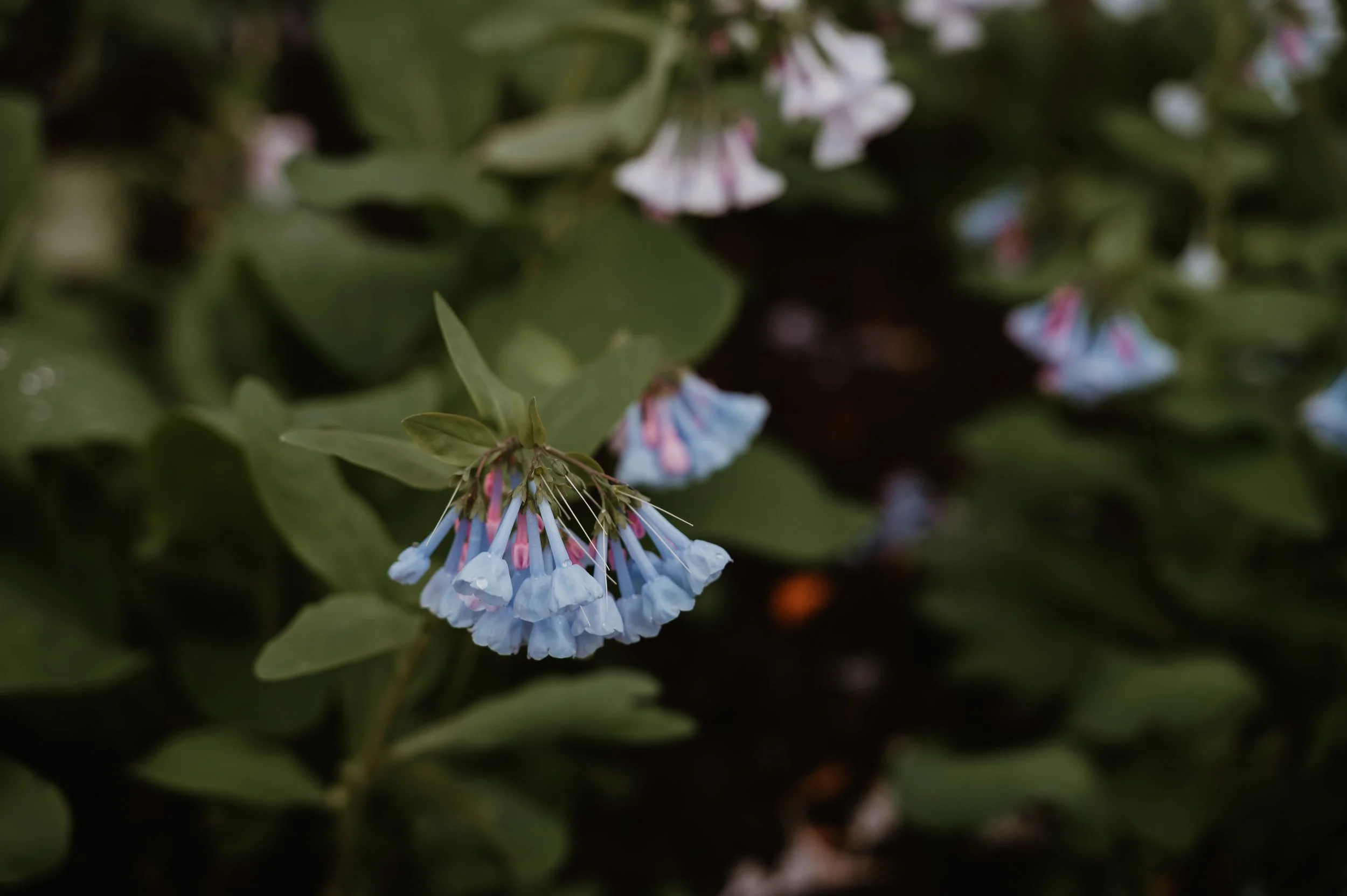 Erin + Jeff Engagment Session-233.jpg