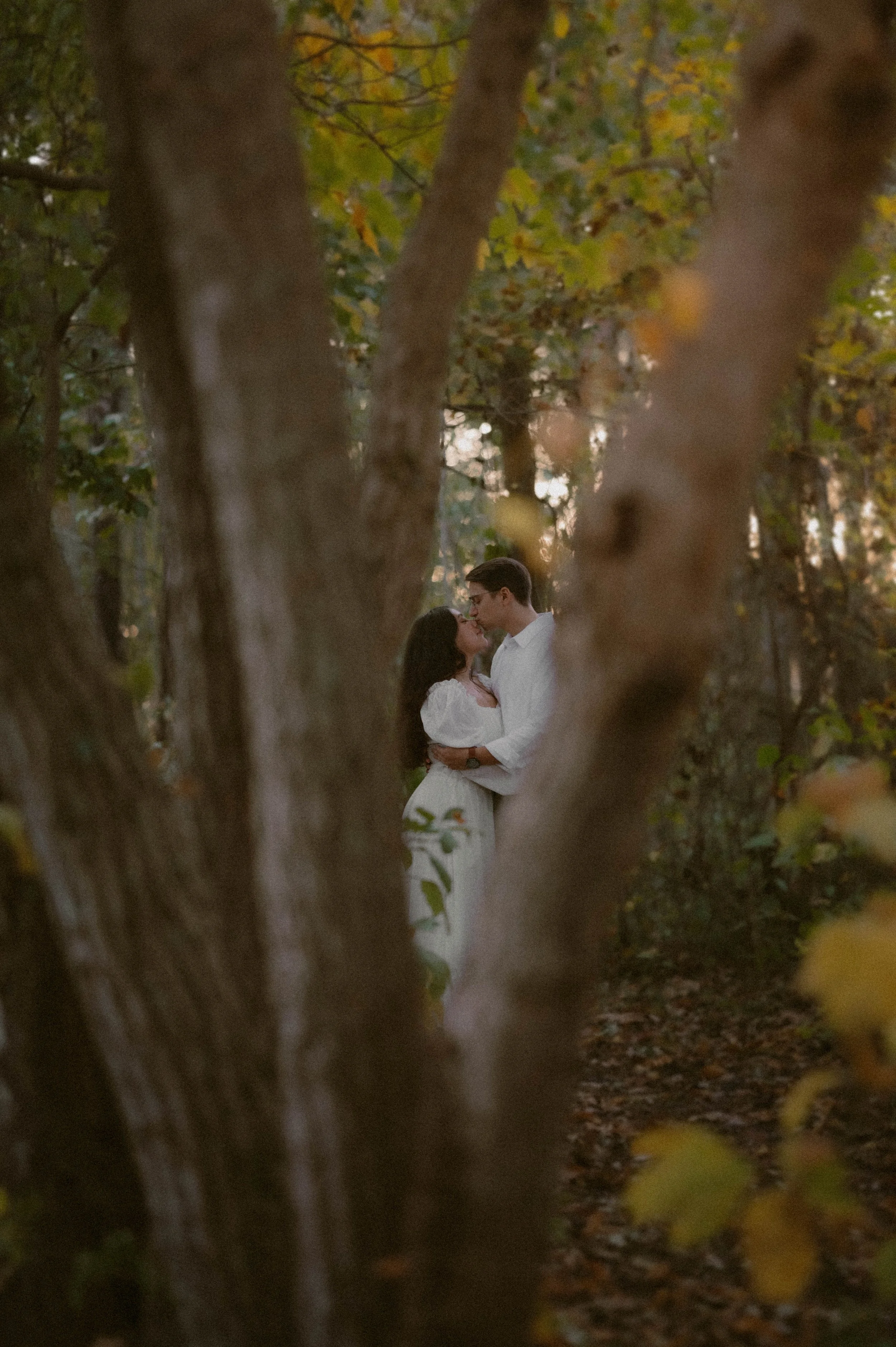 Film, cinematic engagement session couple embraces framed in a tree branch