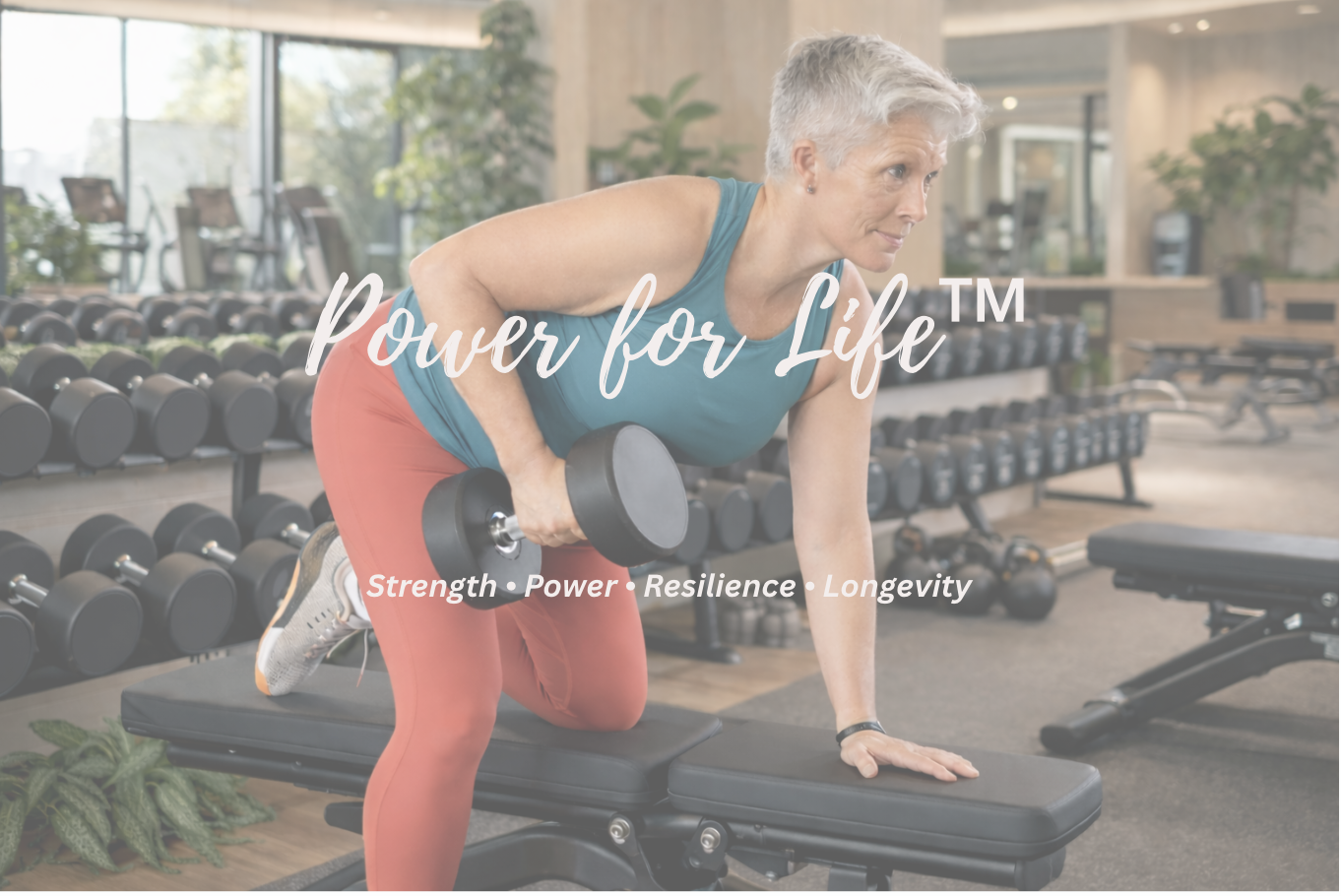 Screenshot 2026-02-15 at 4.14.58 PM.png