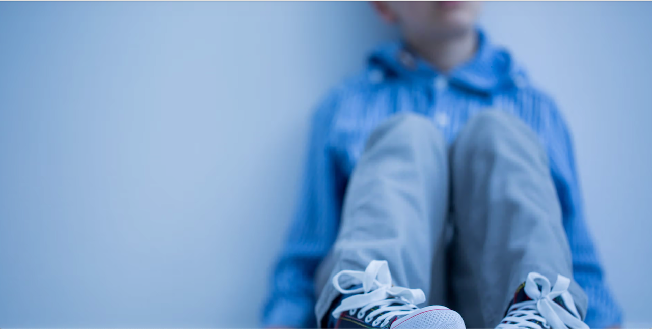 La seducción de niños: Empoderando a padres, cuidadores y tutores para combatir el abuso sexual infantil