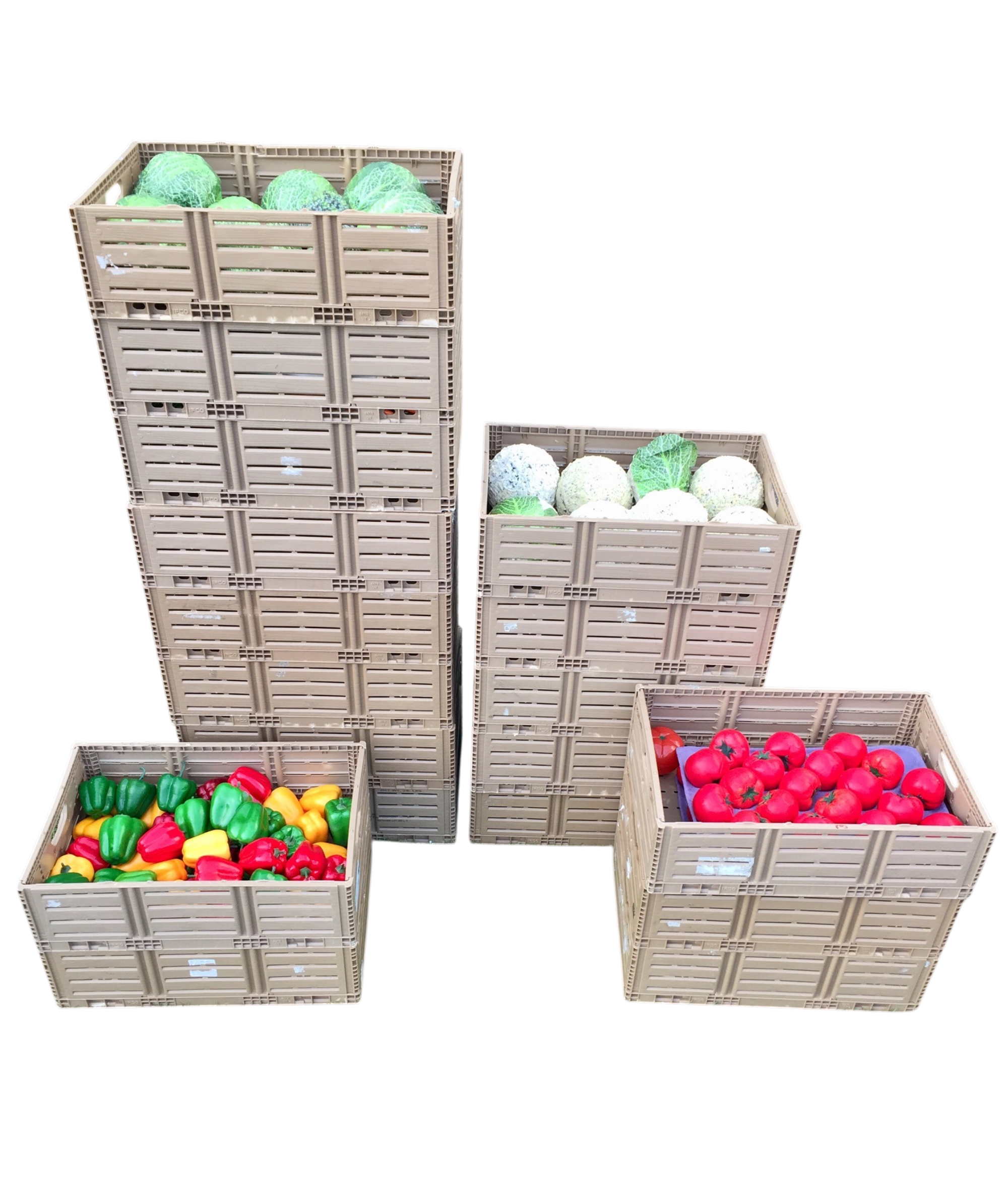 Cartons Plastic
