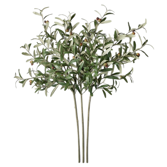 Faux Olive Branches