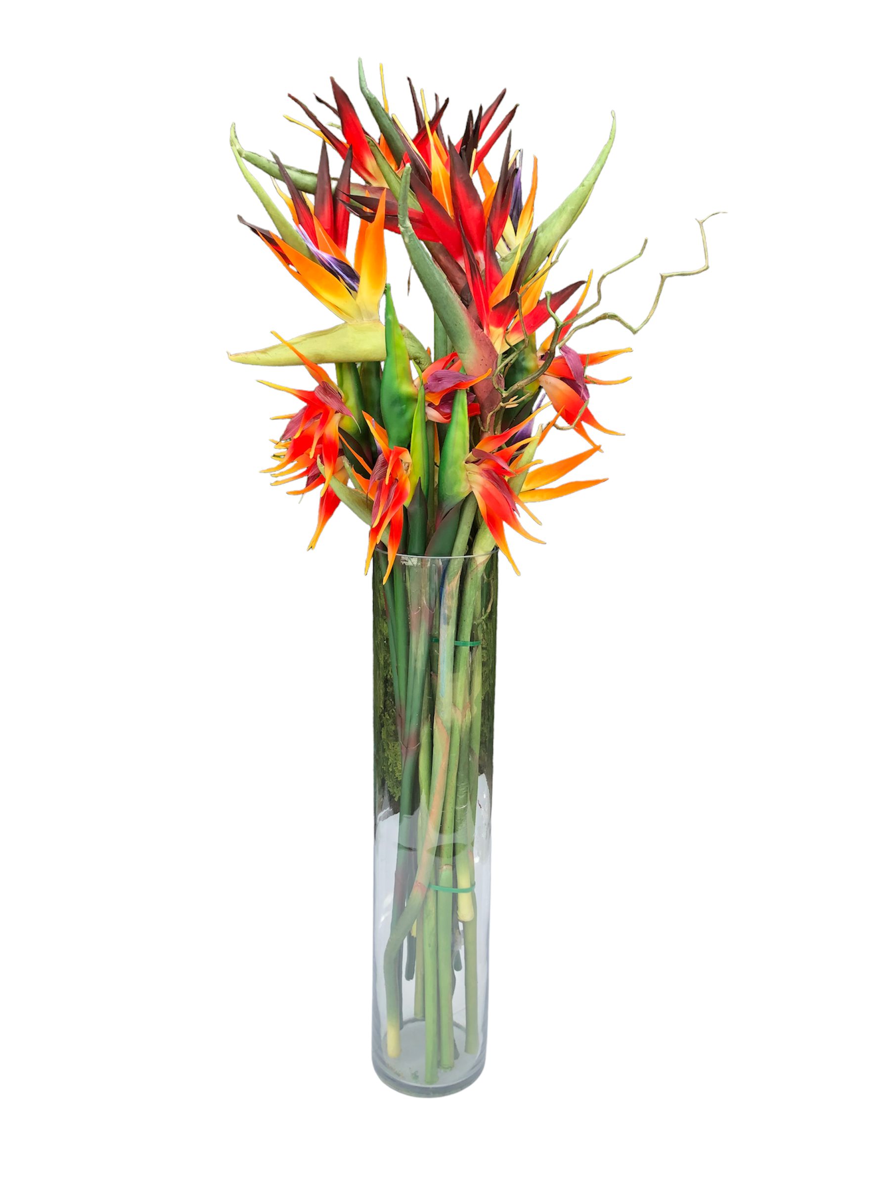 Bird of Paradise Vase
