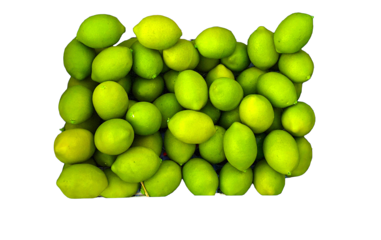 Limes