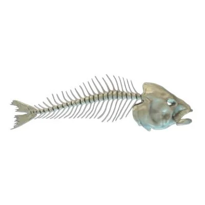 Fish Bones