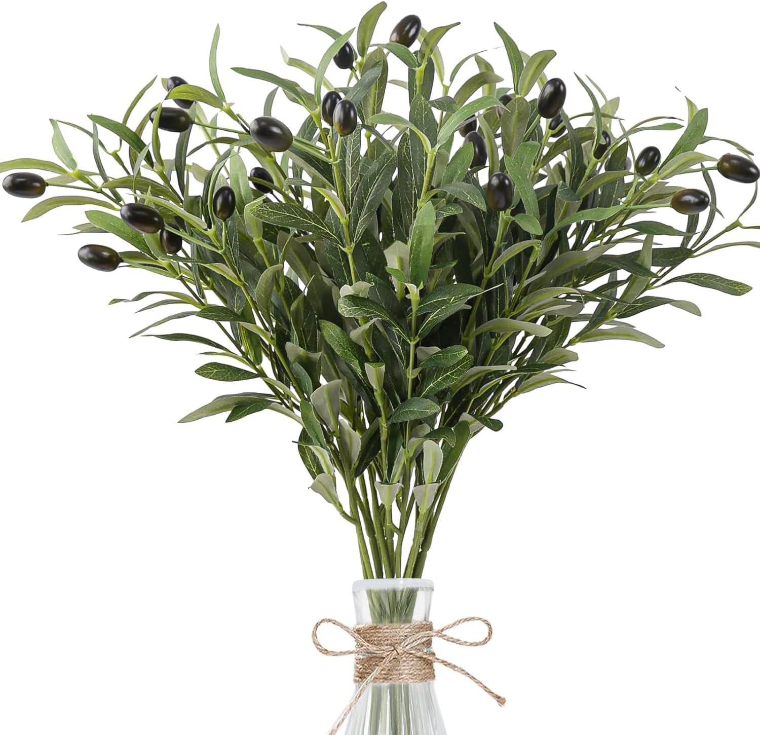 Olive Branch Bundle