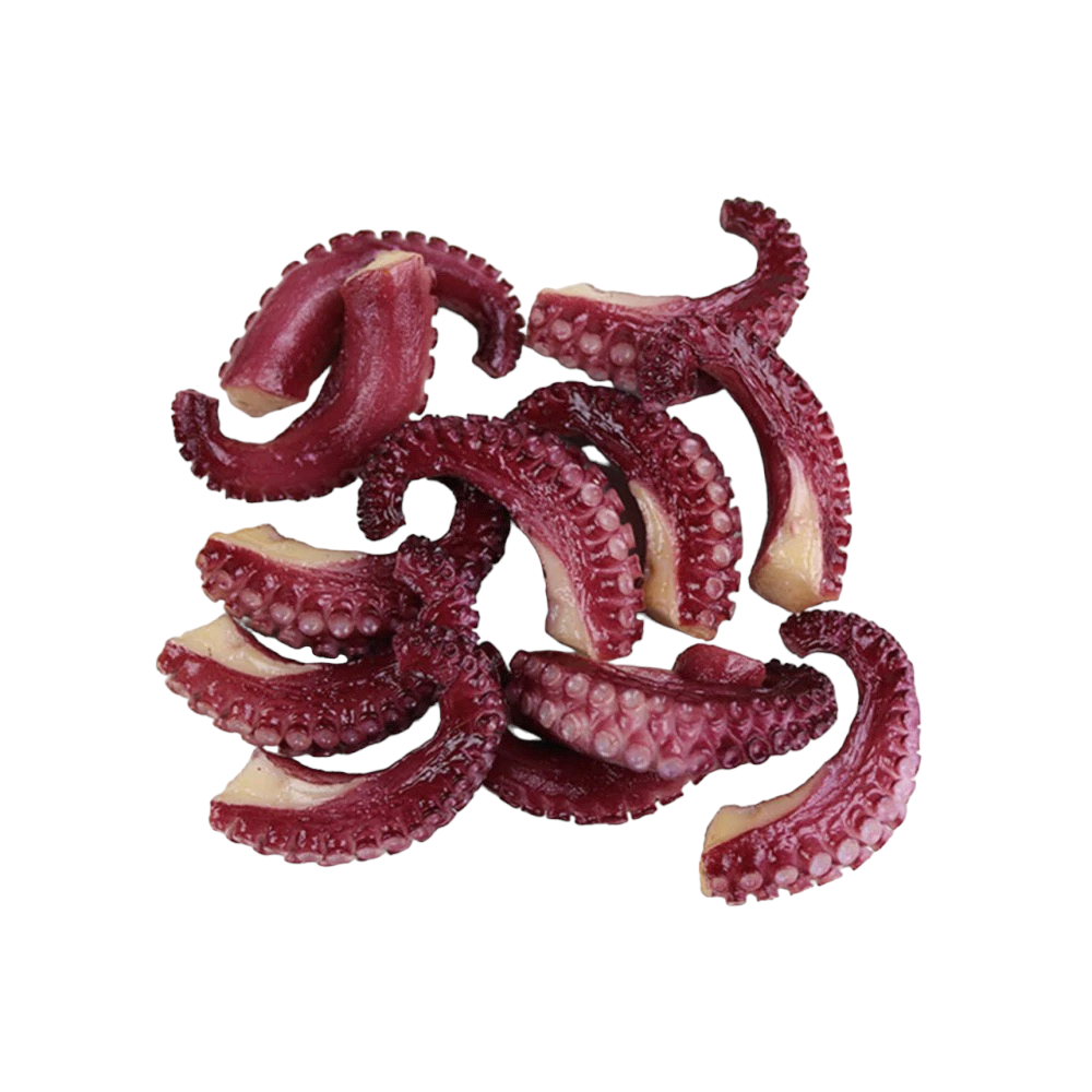 Octopus Tentacles