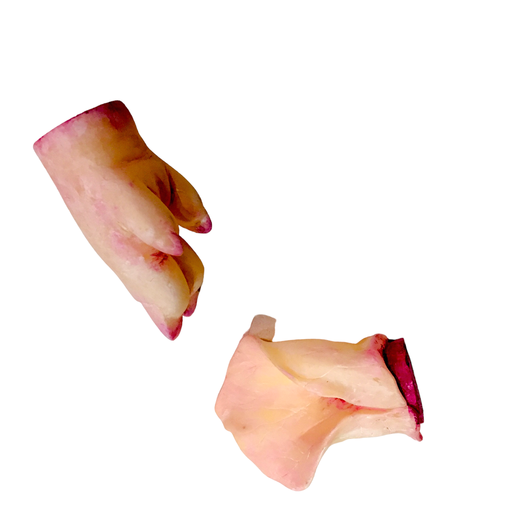 Pig Hooves Raw