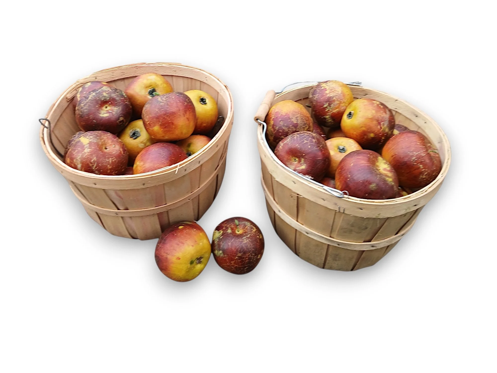 Apples Yellow Rotten