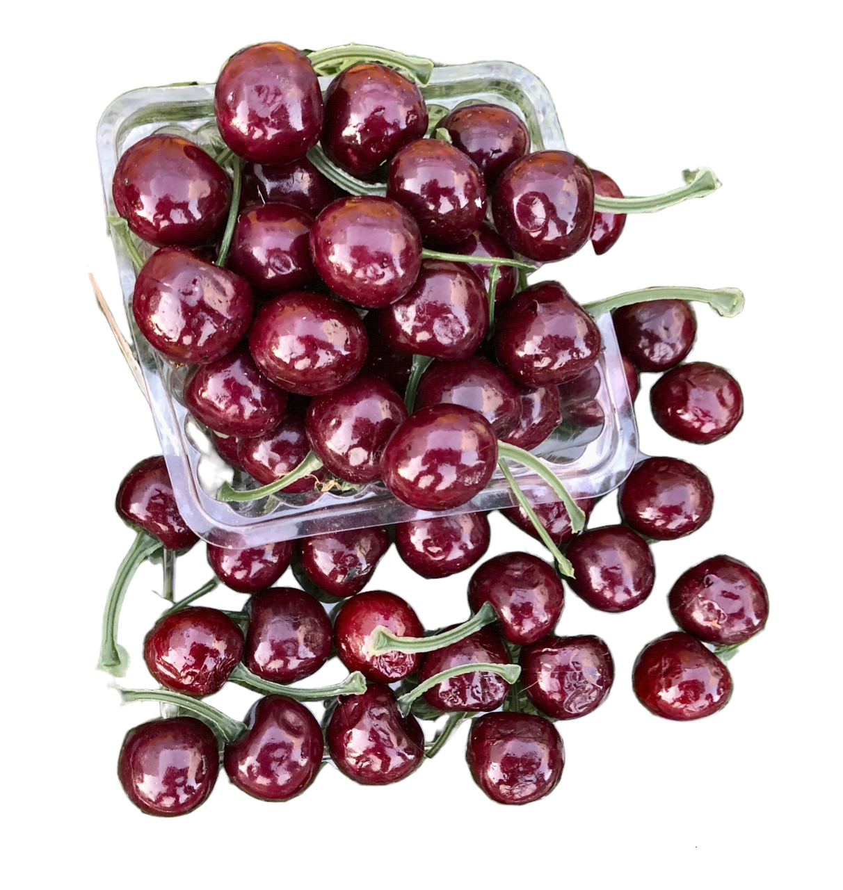 Cherries Black