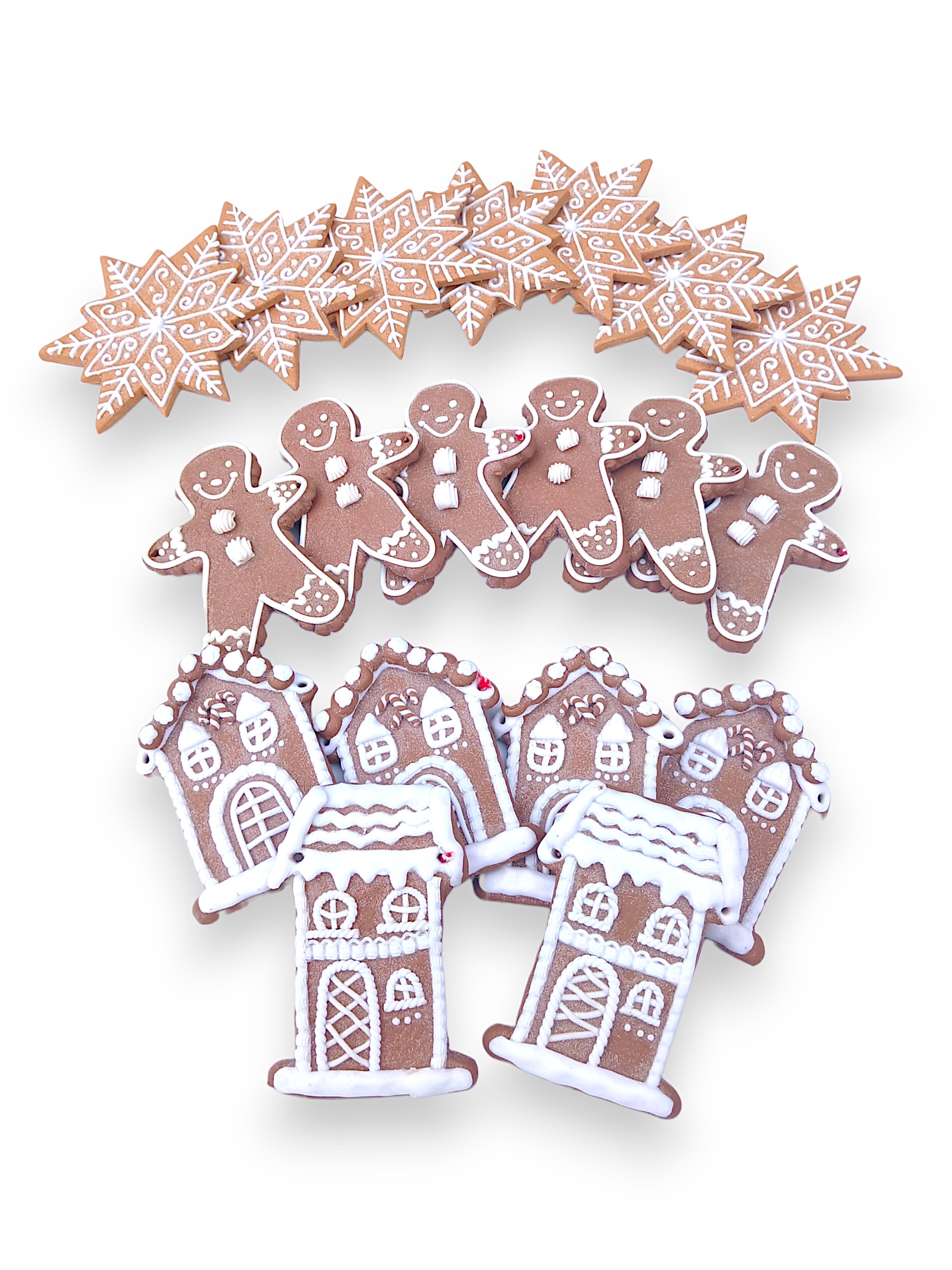 Assorted Gingerbread Christmas Cookies