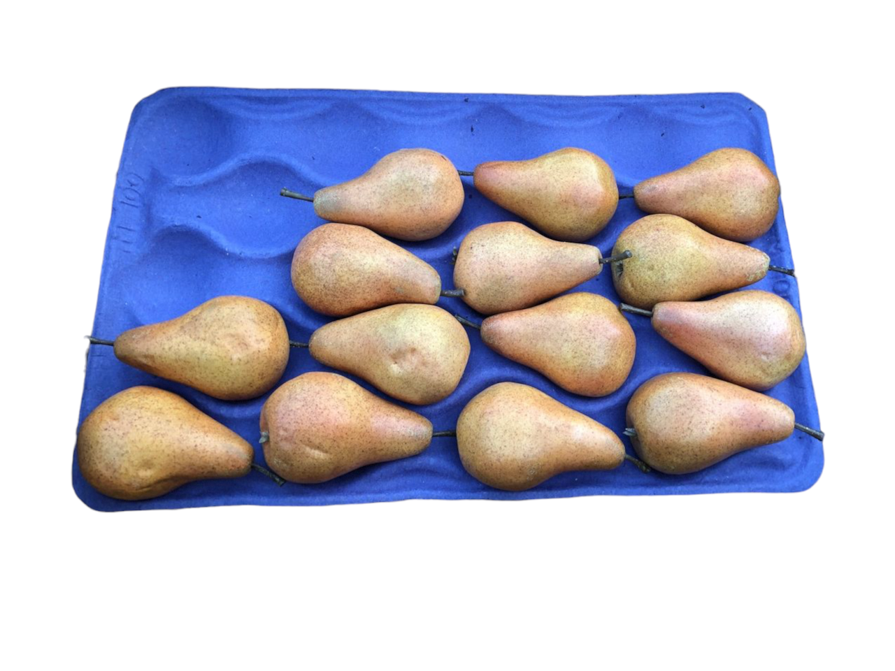 Pears Bosc