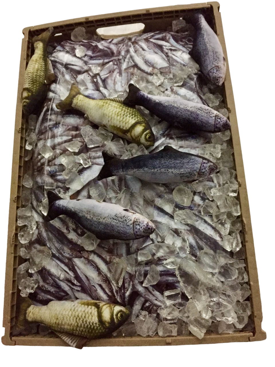Sardines w/ Crate