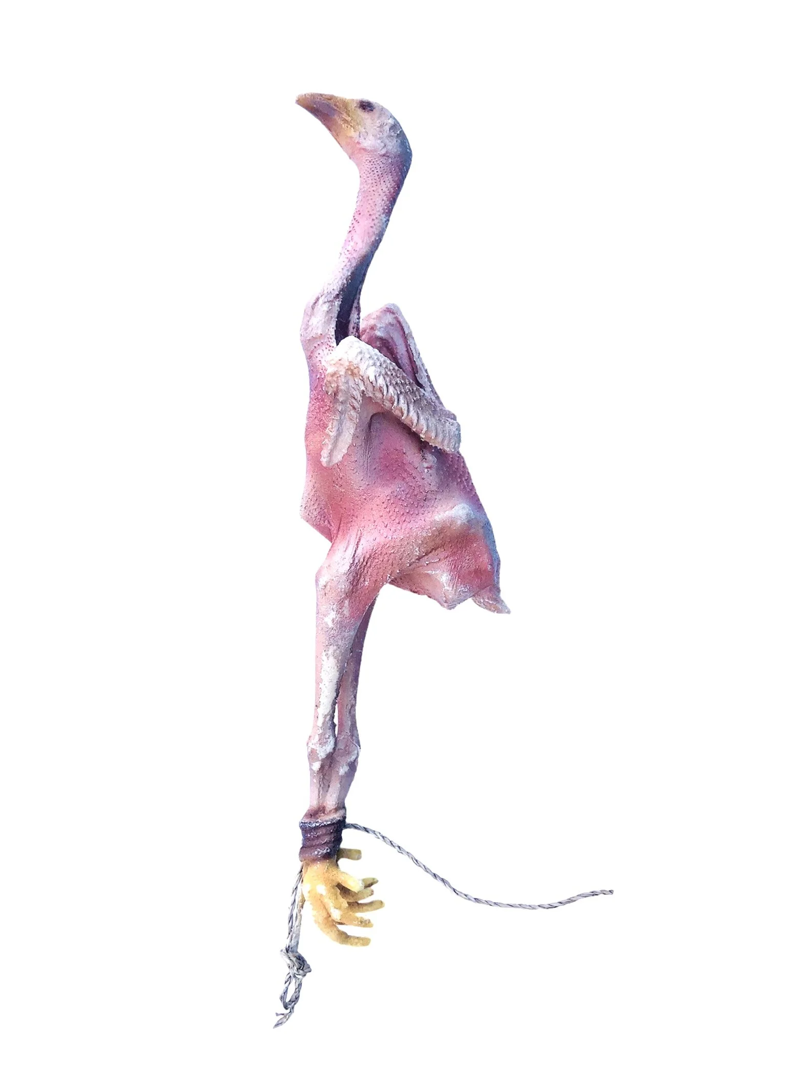 Raw Skinned Duck