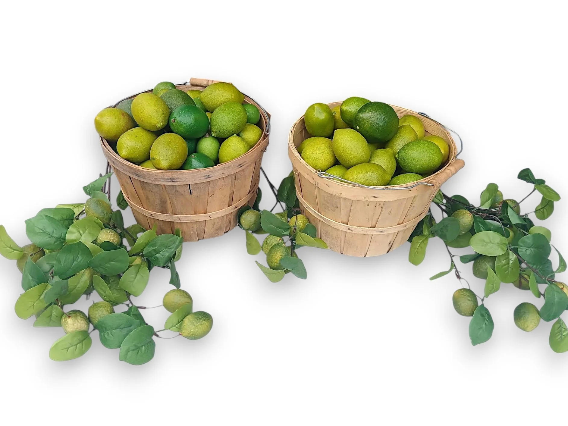 Limes and Lime Sprigs