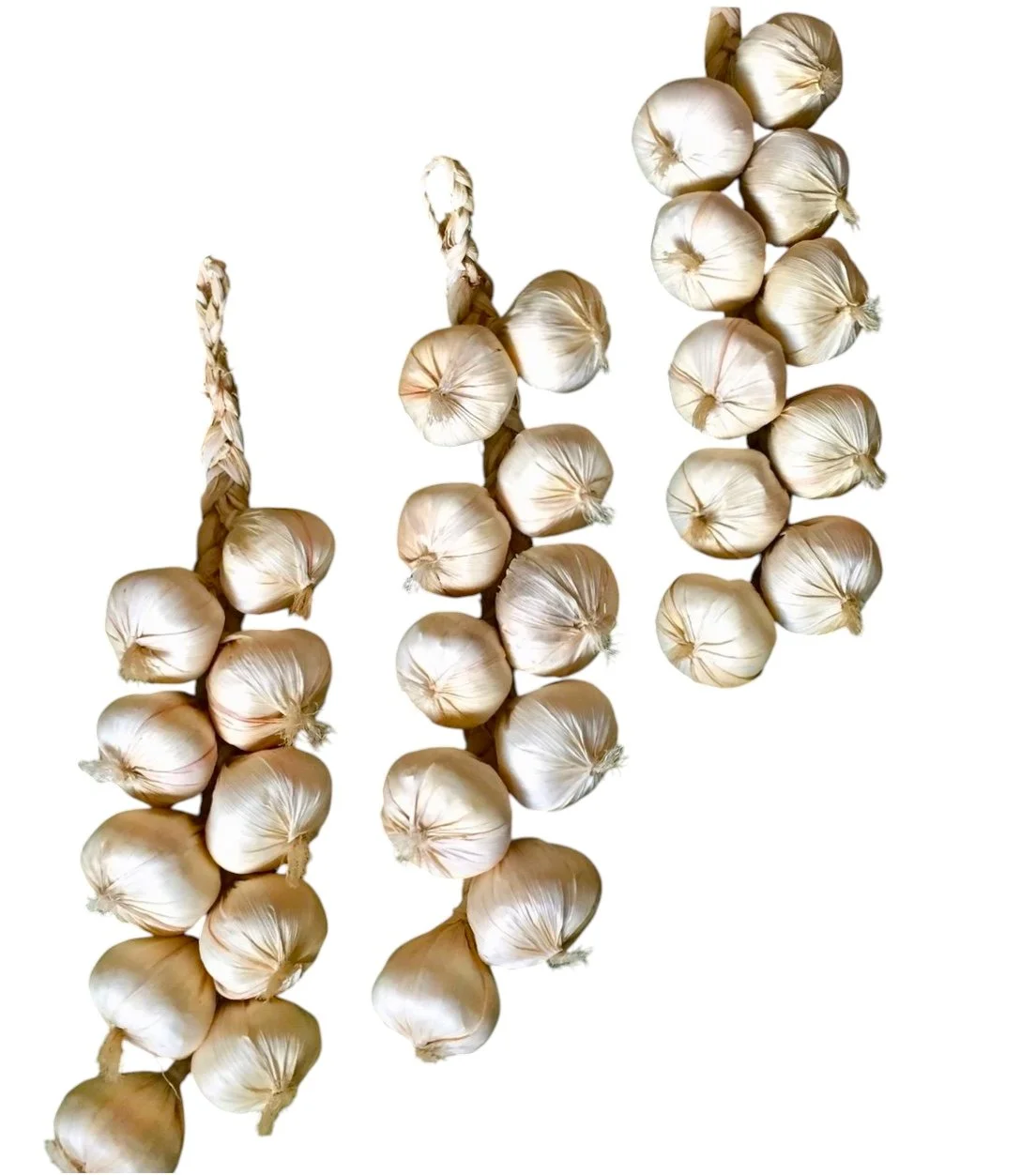 Garlic Braids