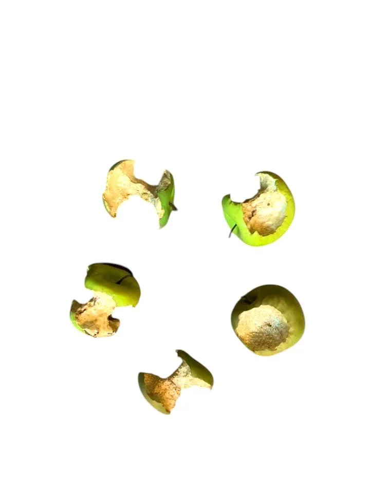 Apple Cores