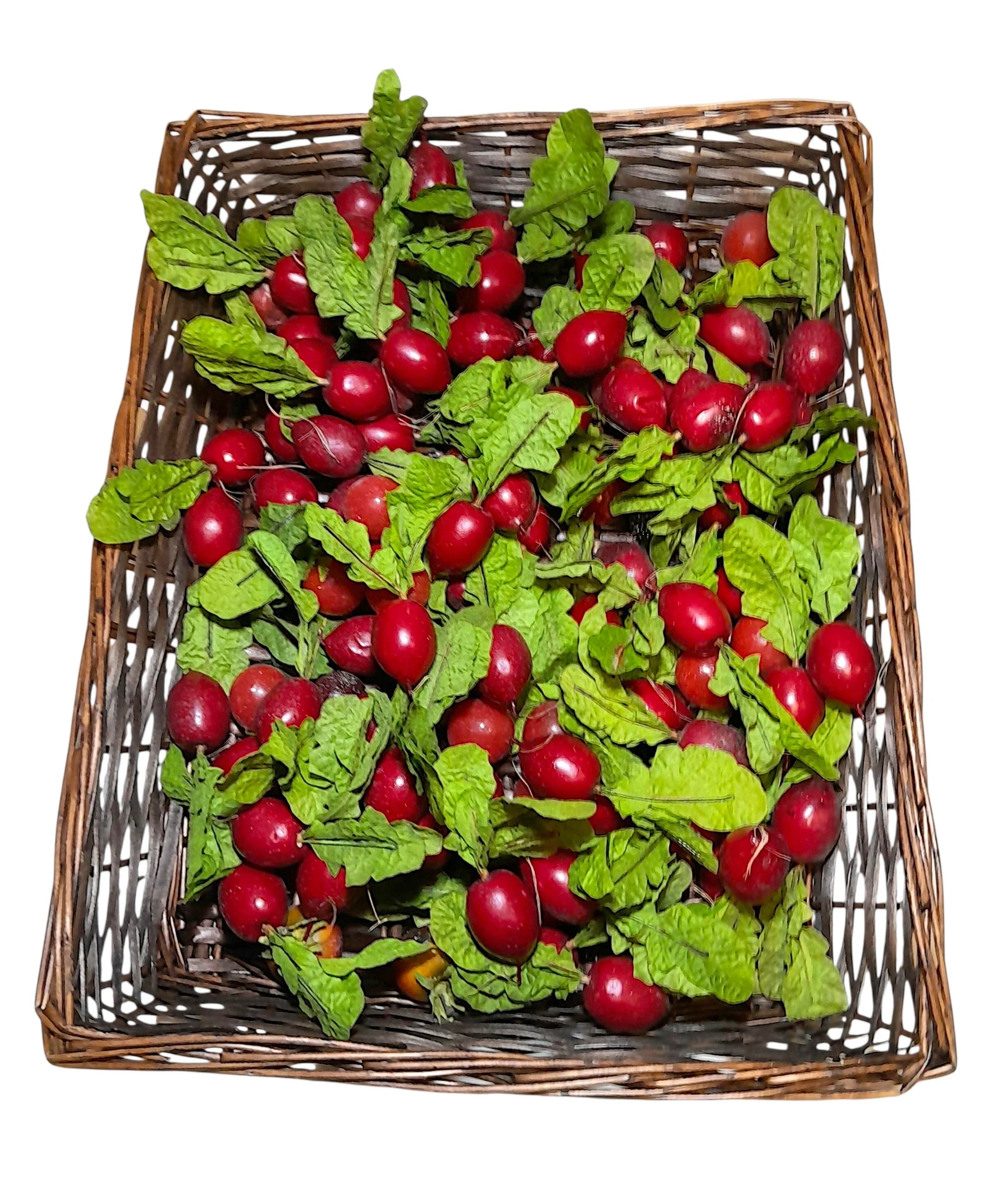 Radishes