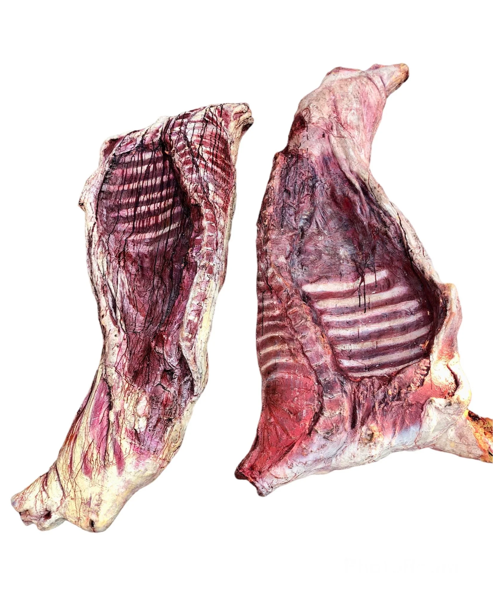 Rack Side Ribs