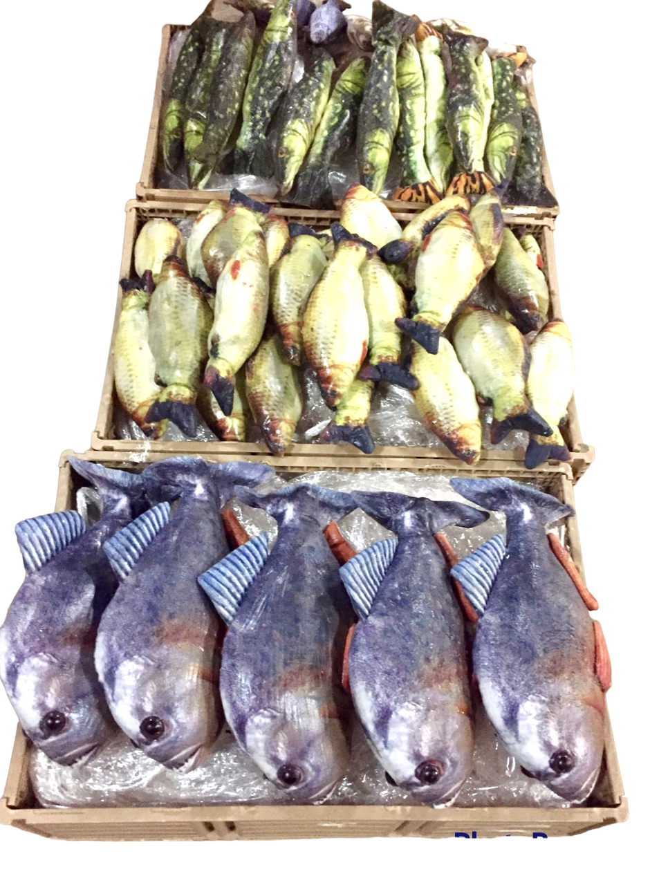 Fish Assorted w/ Crate