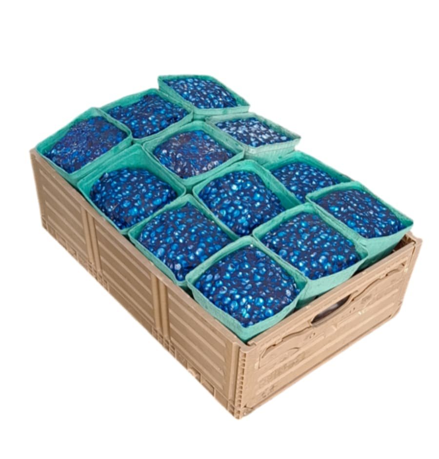 Crate Plastic Wood Blueberries