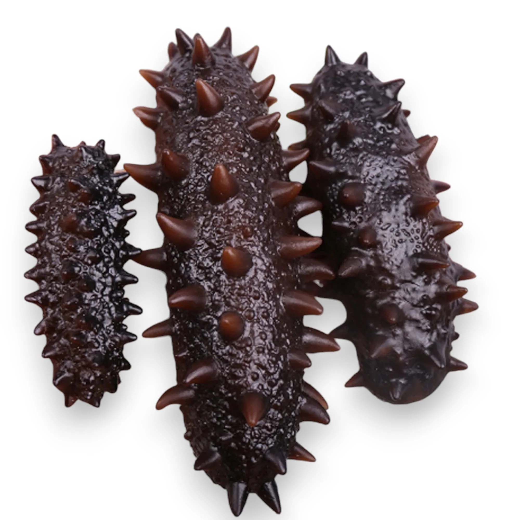 Sea Urchins