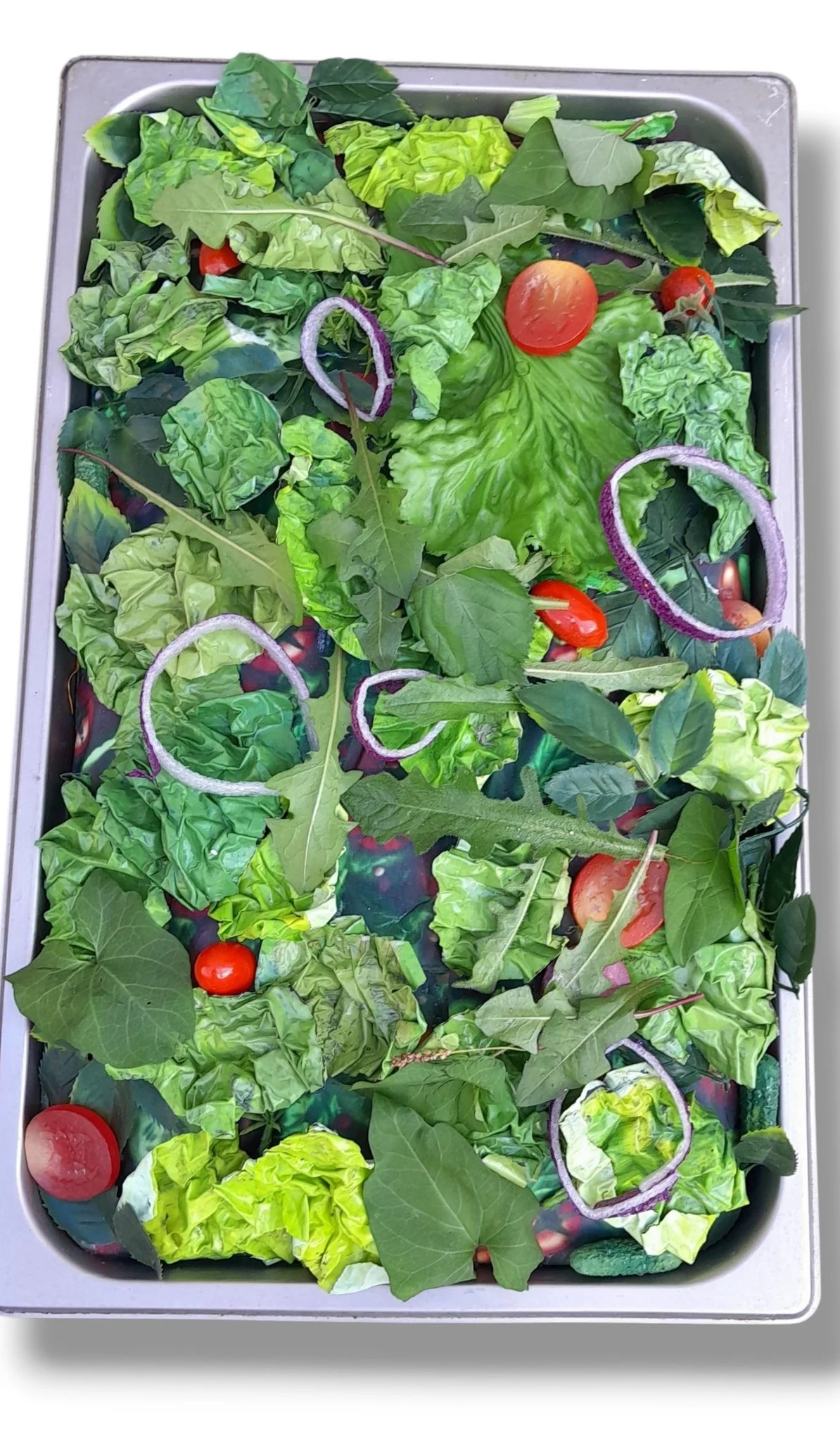 Insert Green Salad