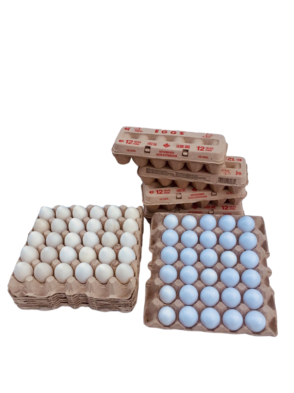 Eggs White Cartons