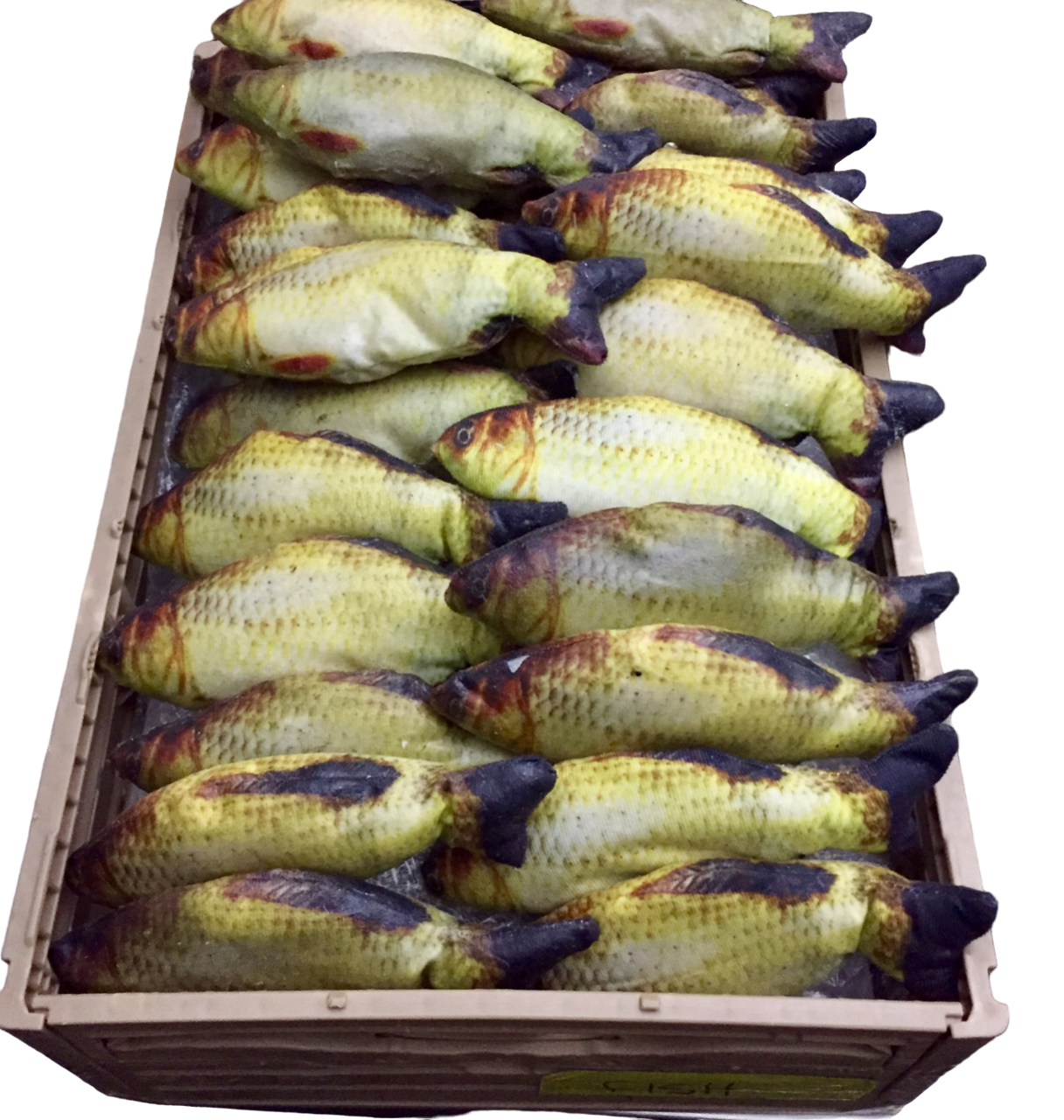 Trout Fish w/ Crate