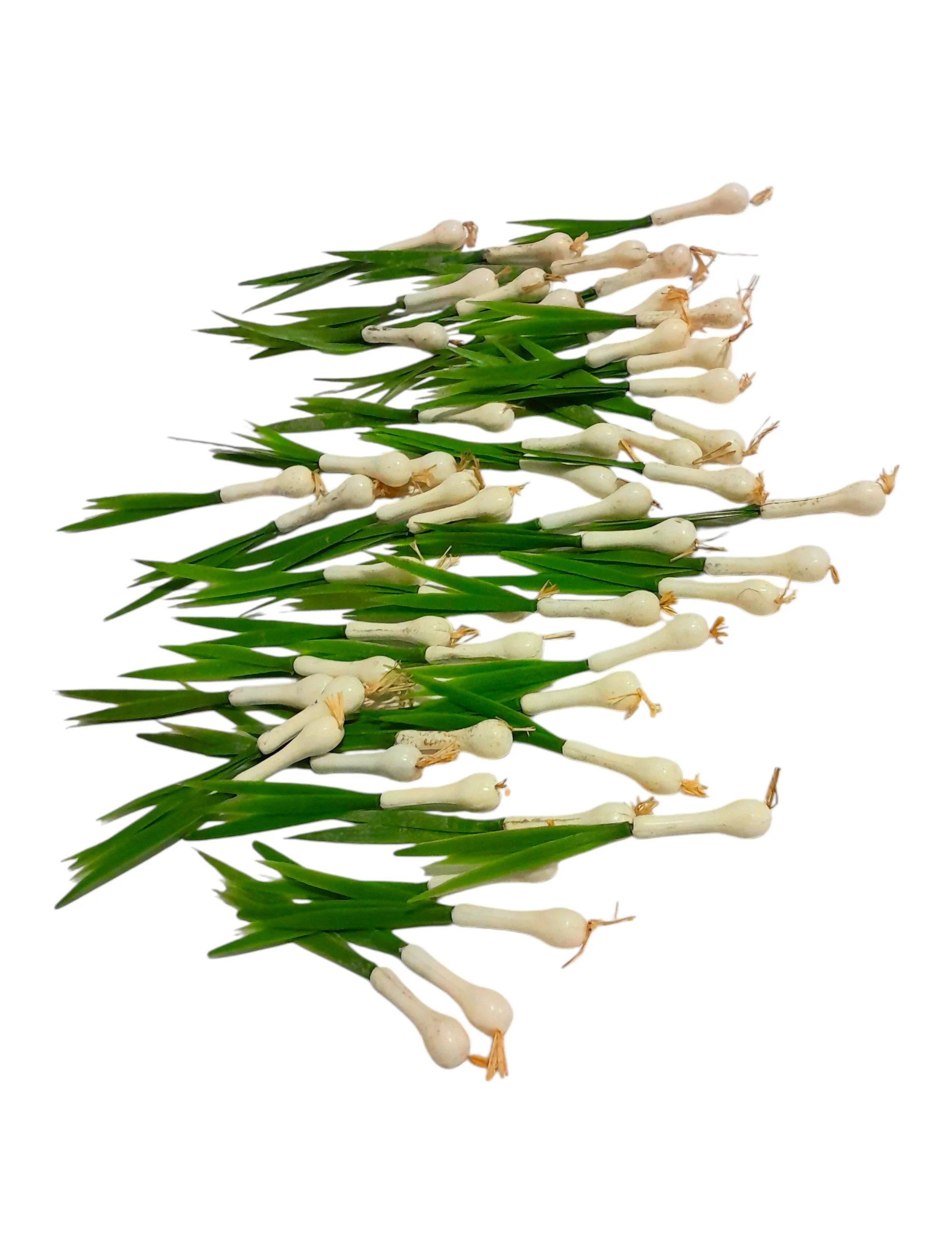 Green Onions