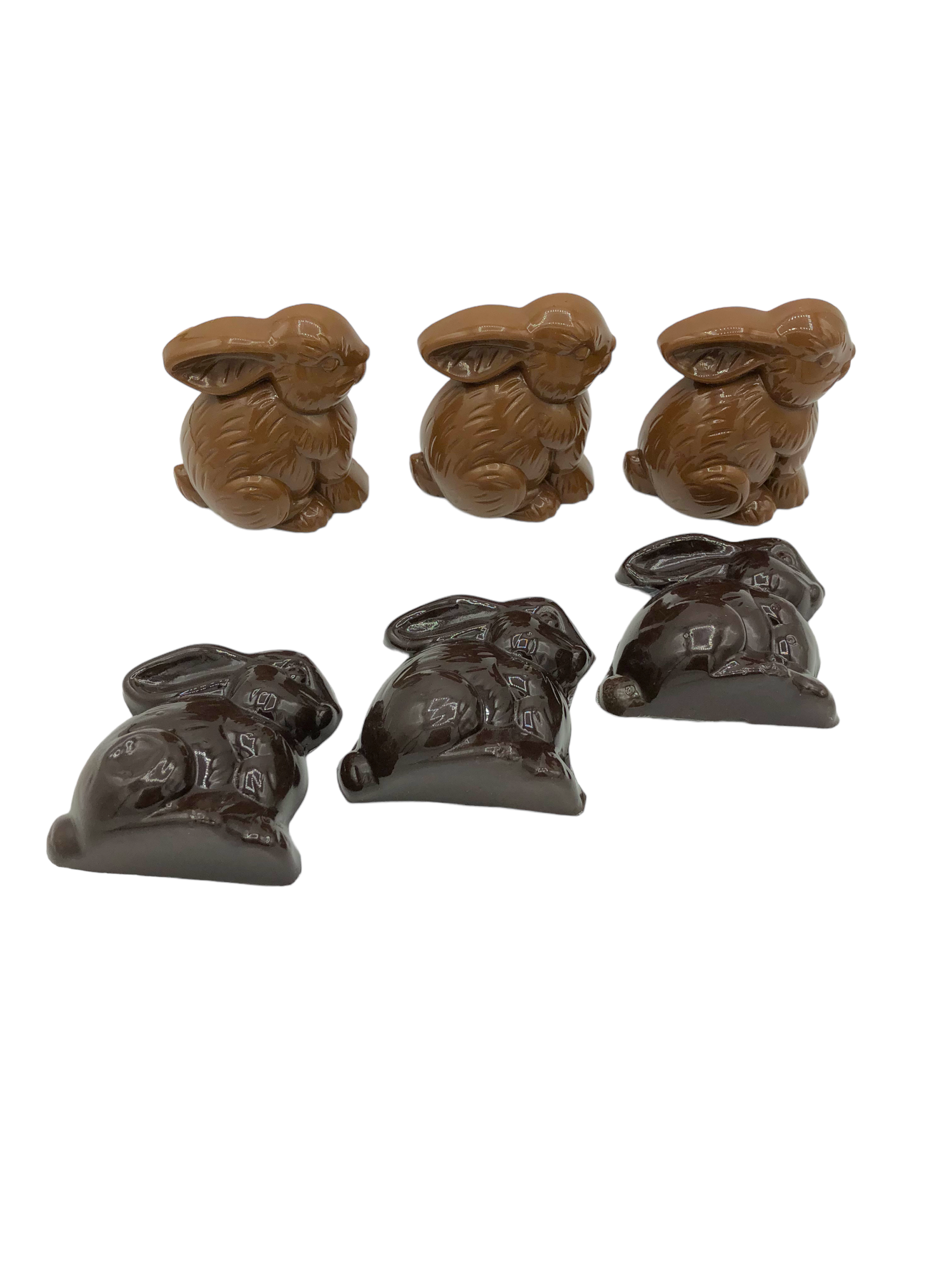 Chocolate Bunnies