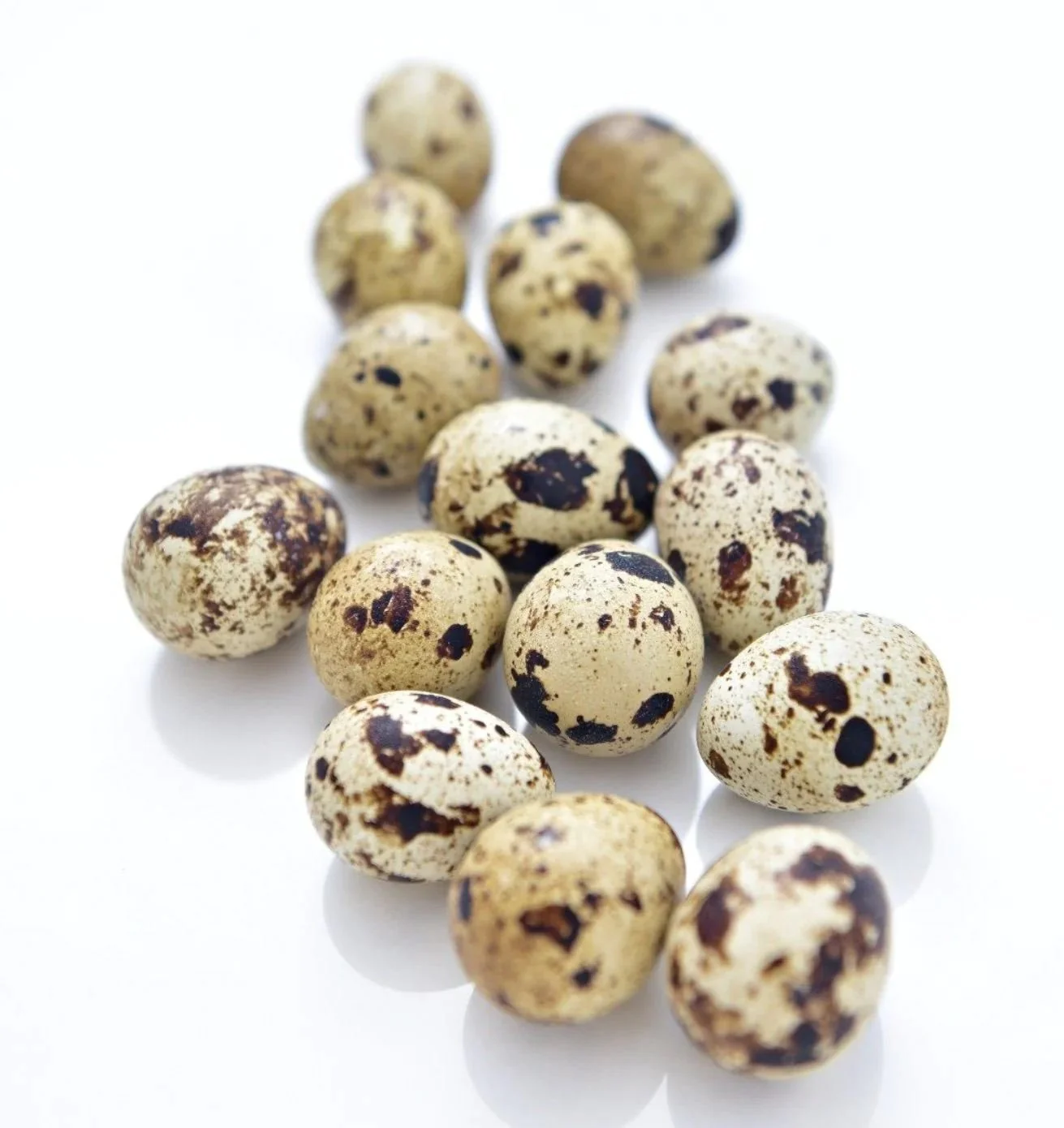 Quall Eggs